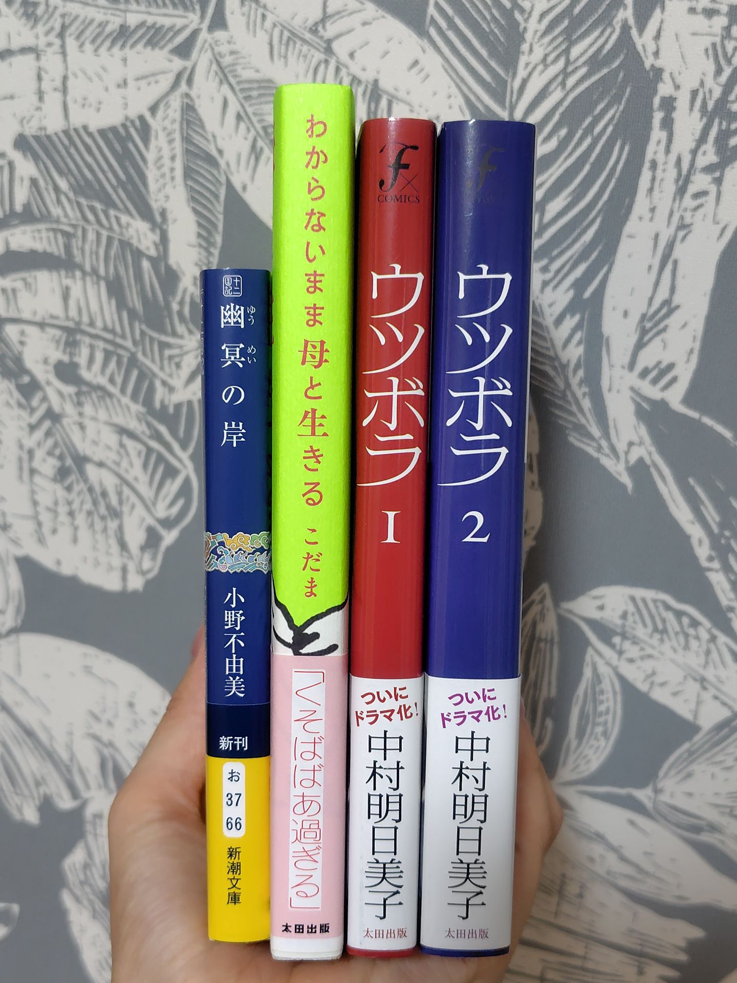 幽冥の岸 十二国記