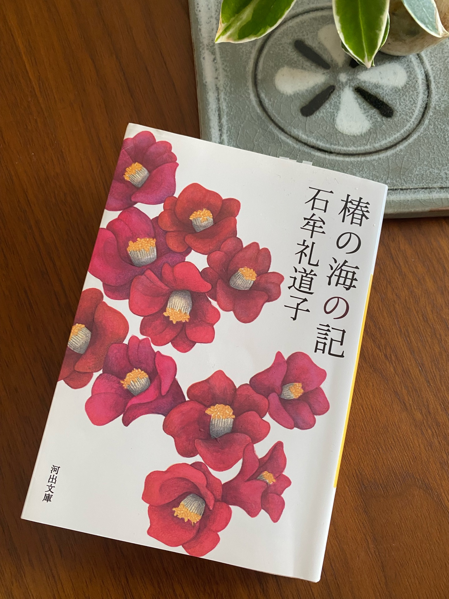 椿の海の記