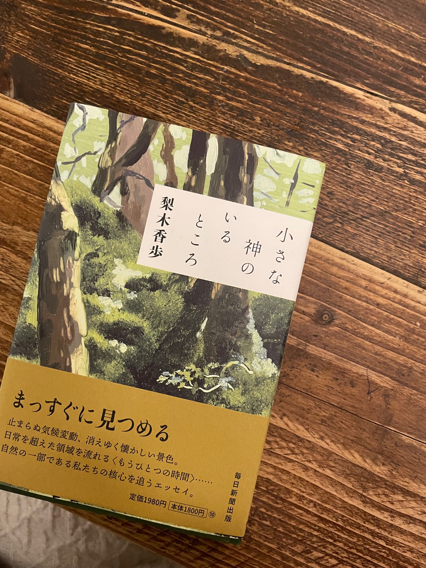 小さな神のいるところ