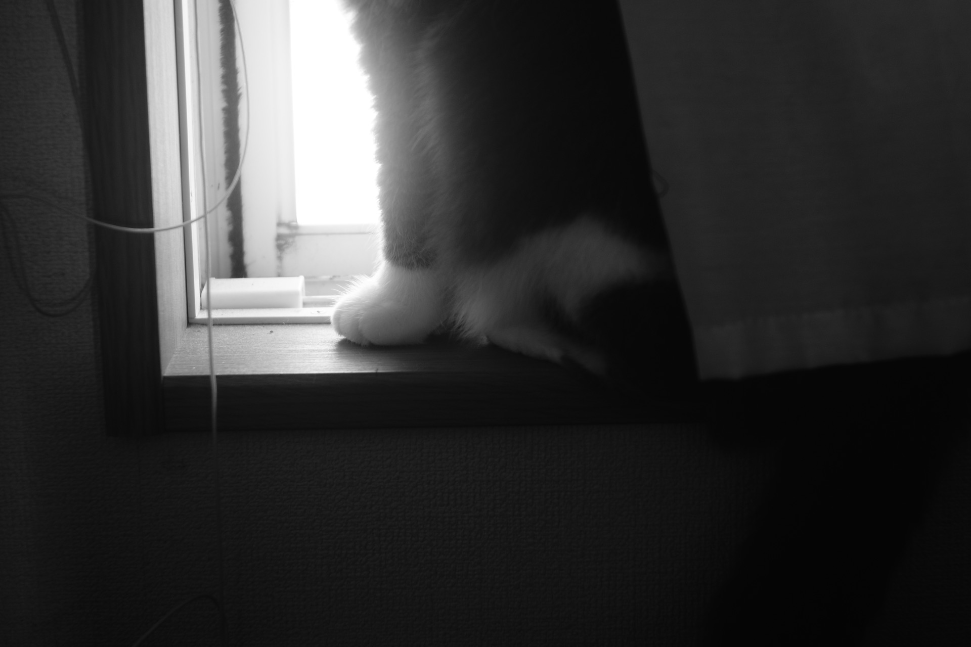 反応しない練習 あらゆる悩みが消えていくブッダの超・合理的な「考え方」