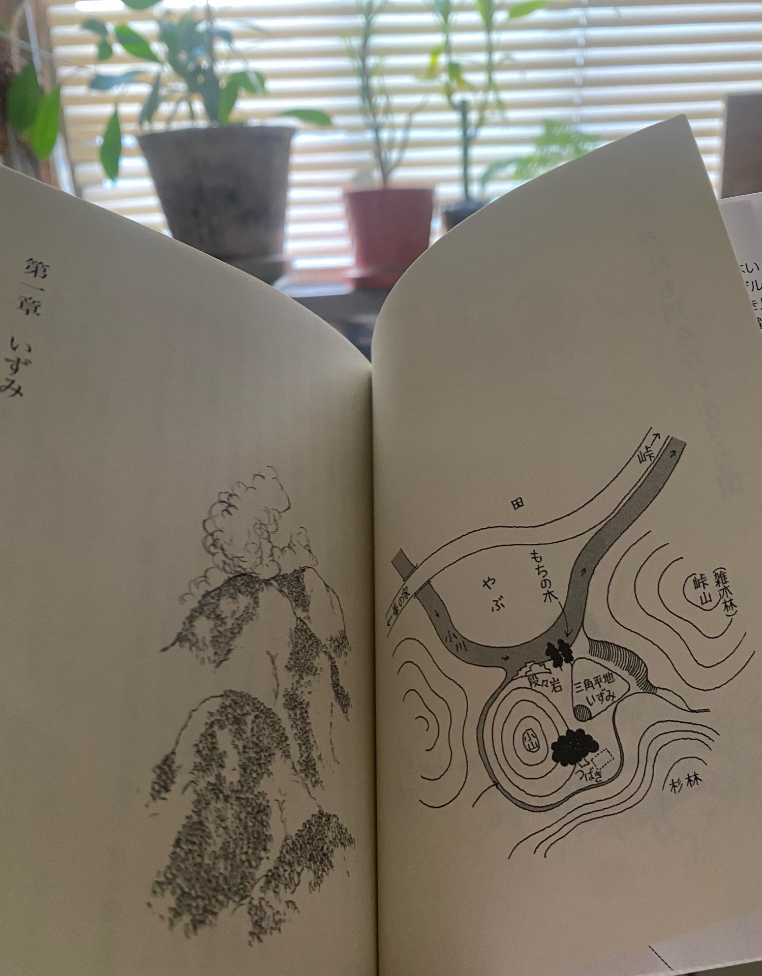 コロボックル物語1　だれも知らない小さな国