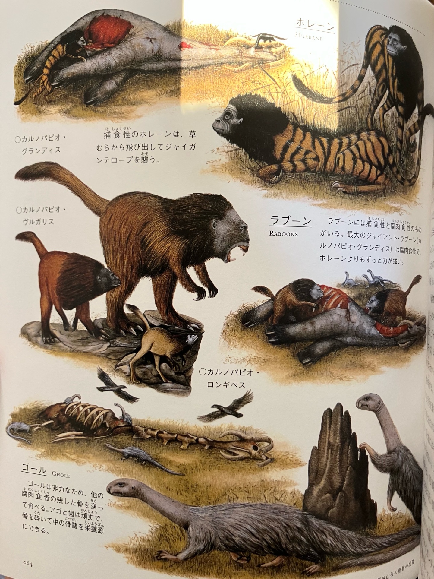 アフターマン 人類滅亡後の動物の図鑑 児童書版