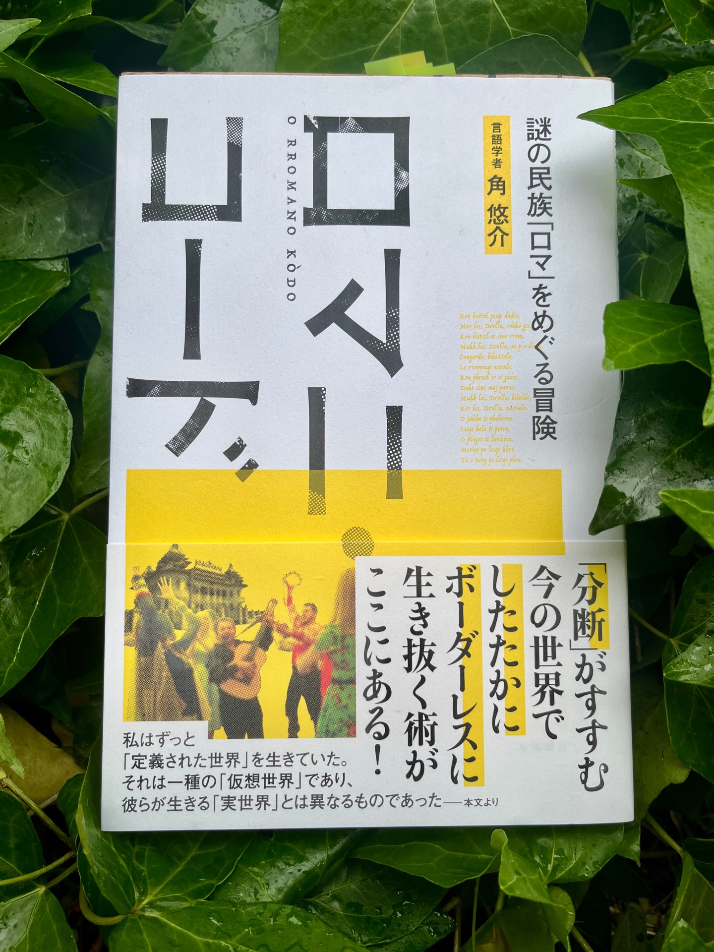 ロマニ・コード 謎の民族「ロマ」をめぐる冒険