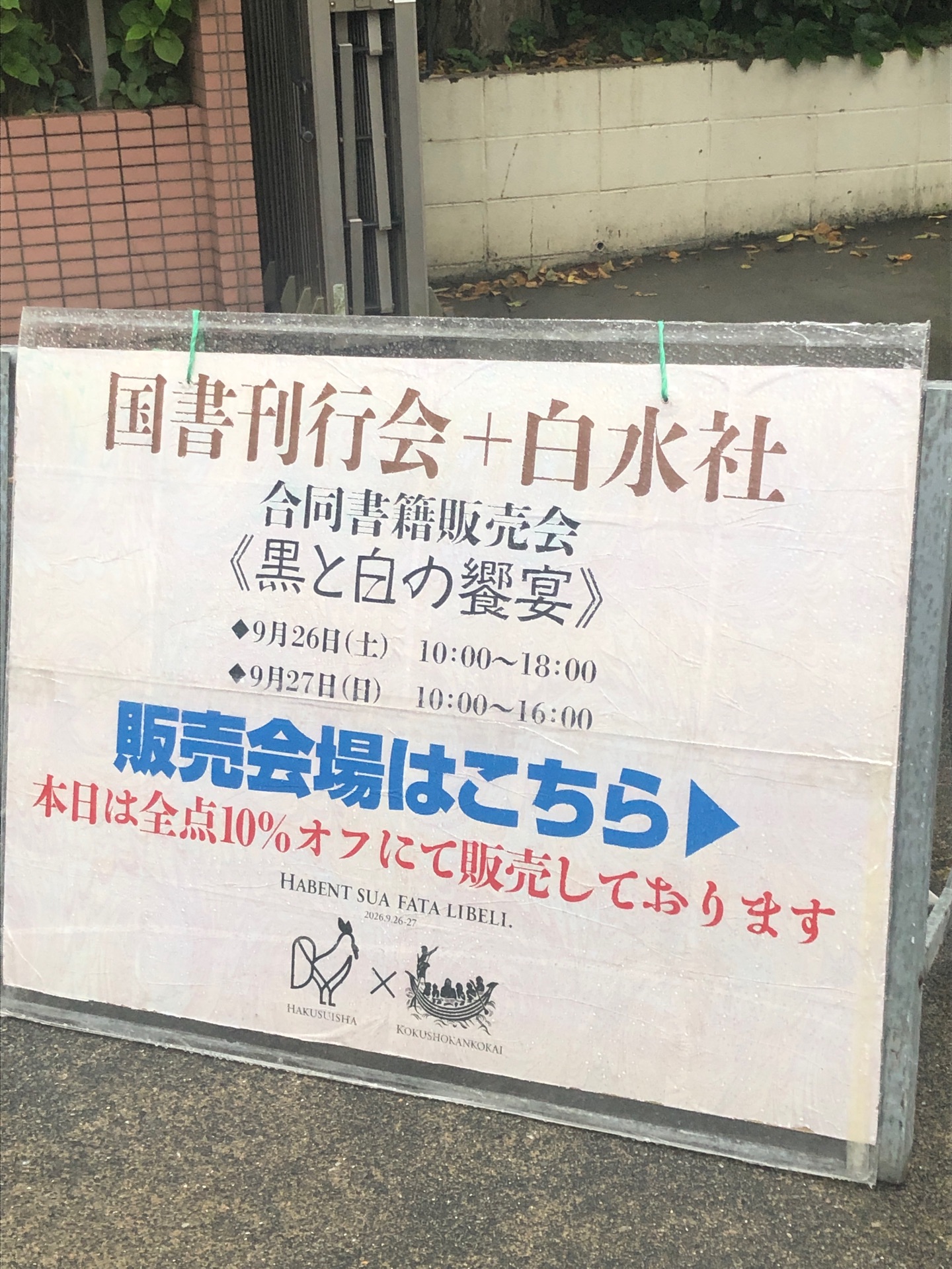 ハヤブサ