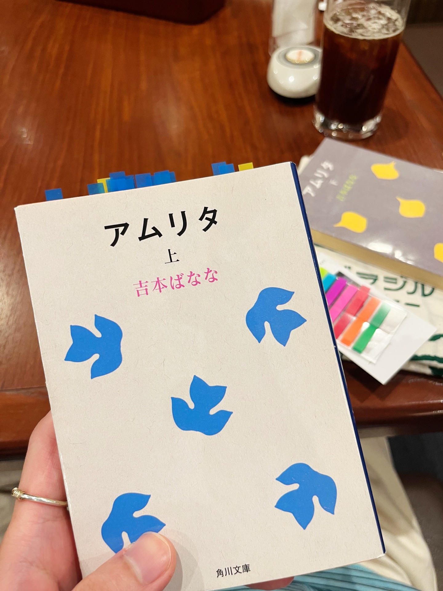 アムリタ 上