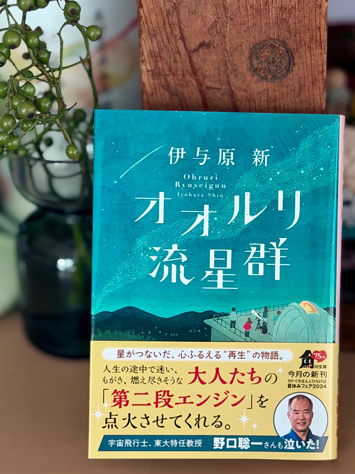 オオルリ流星群
