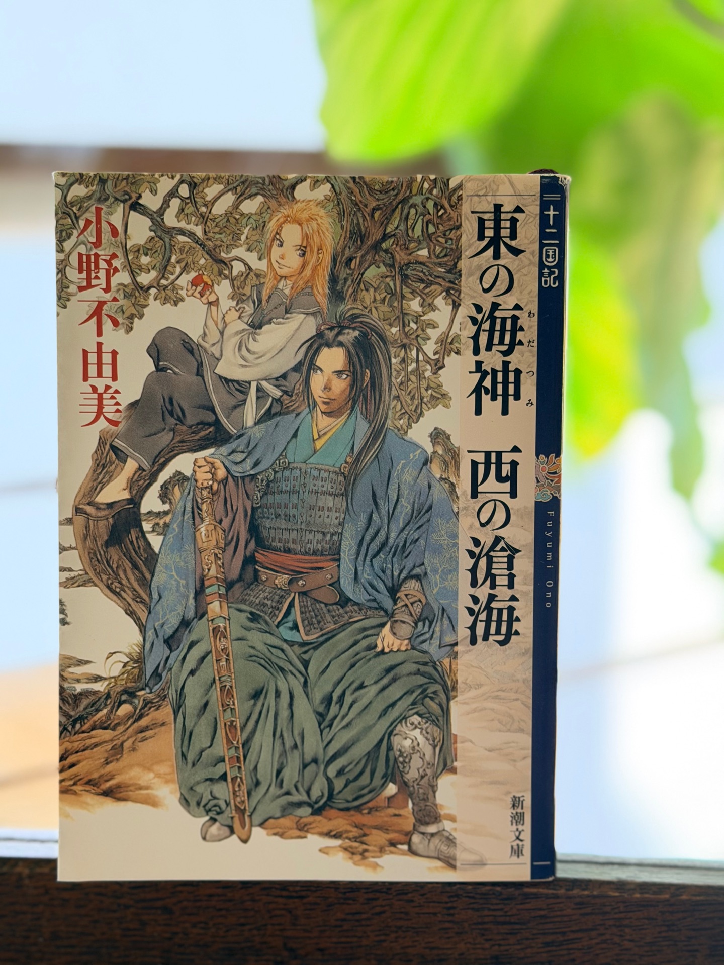 東の海神 西の滄海 十二国記