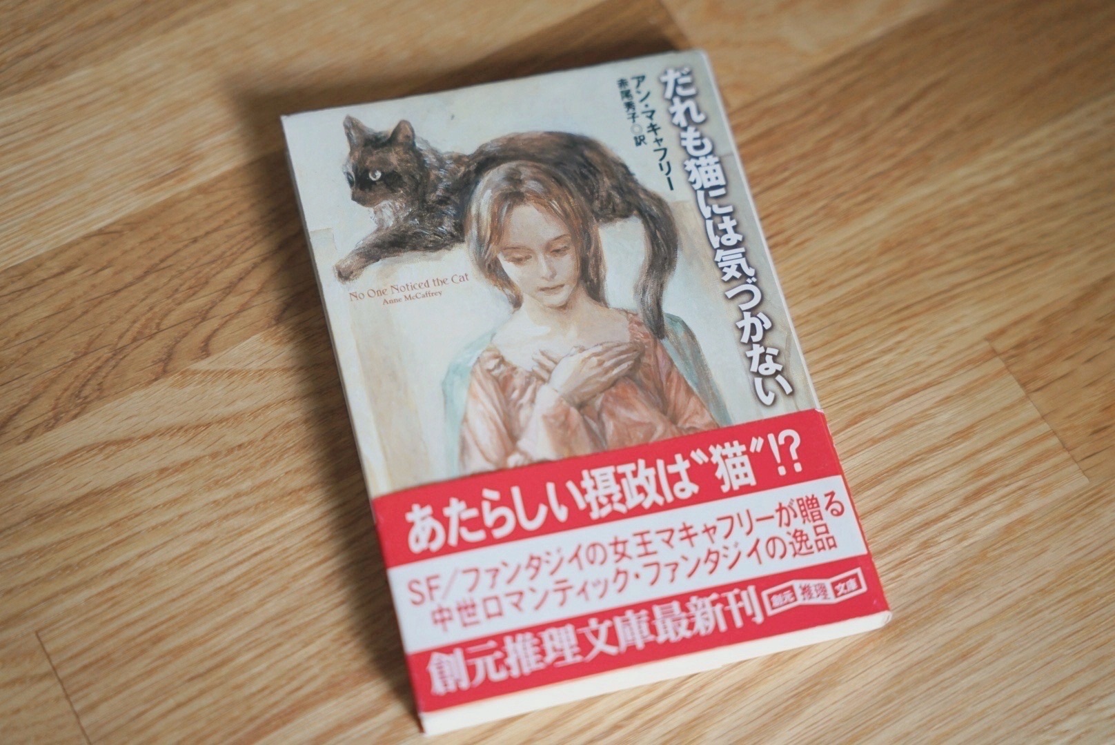 だれも猫には気づかない