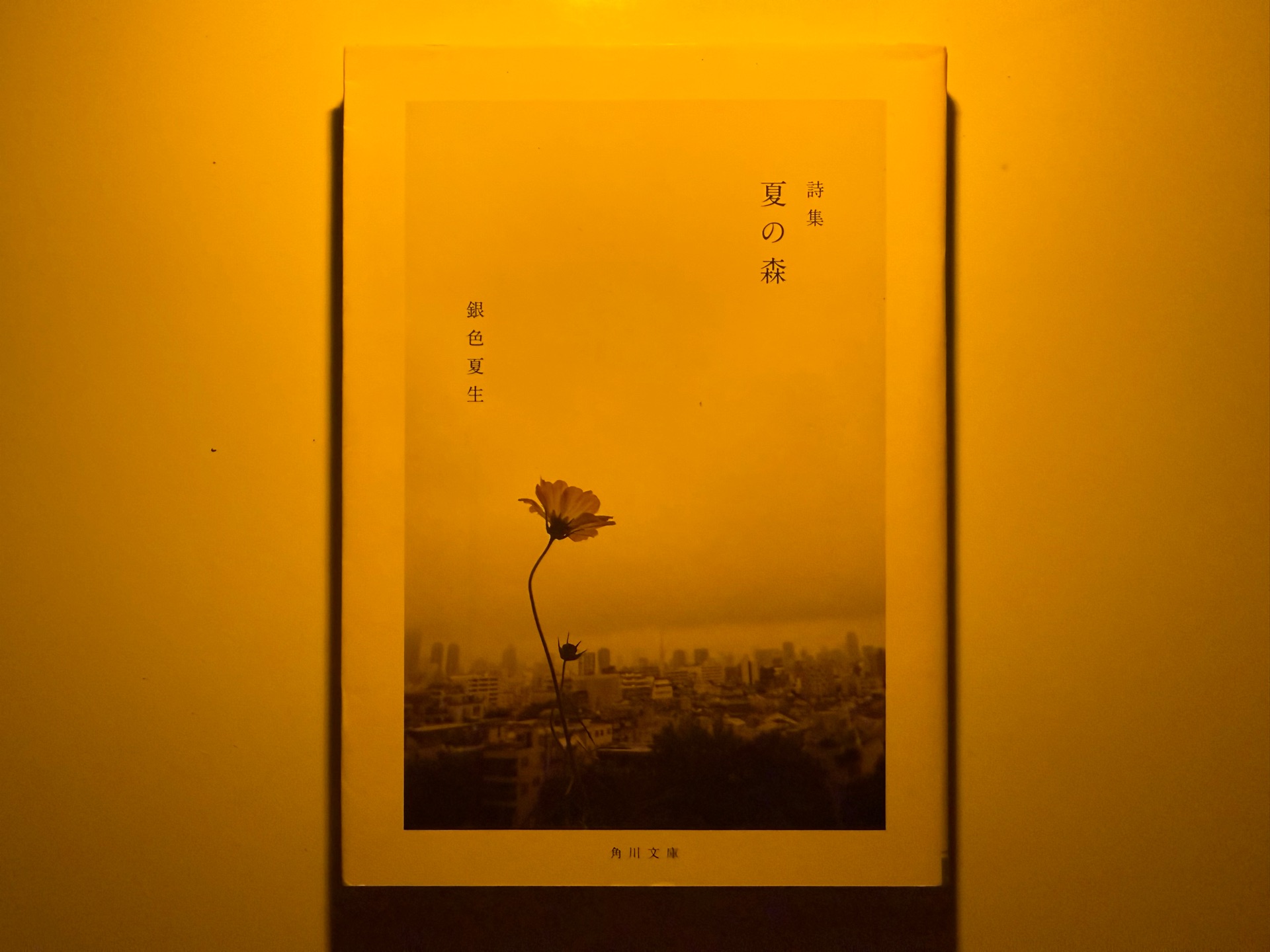 【写真詩集】夏の森 (角川文庫)