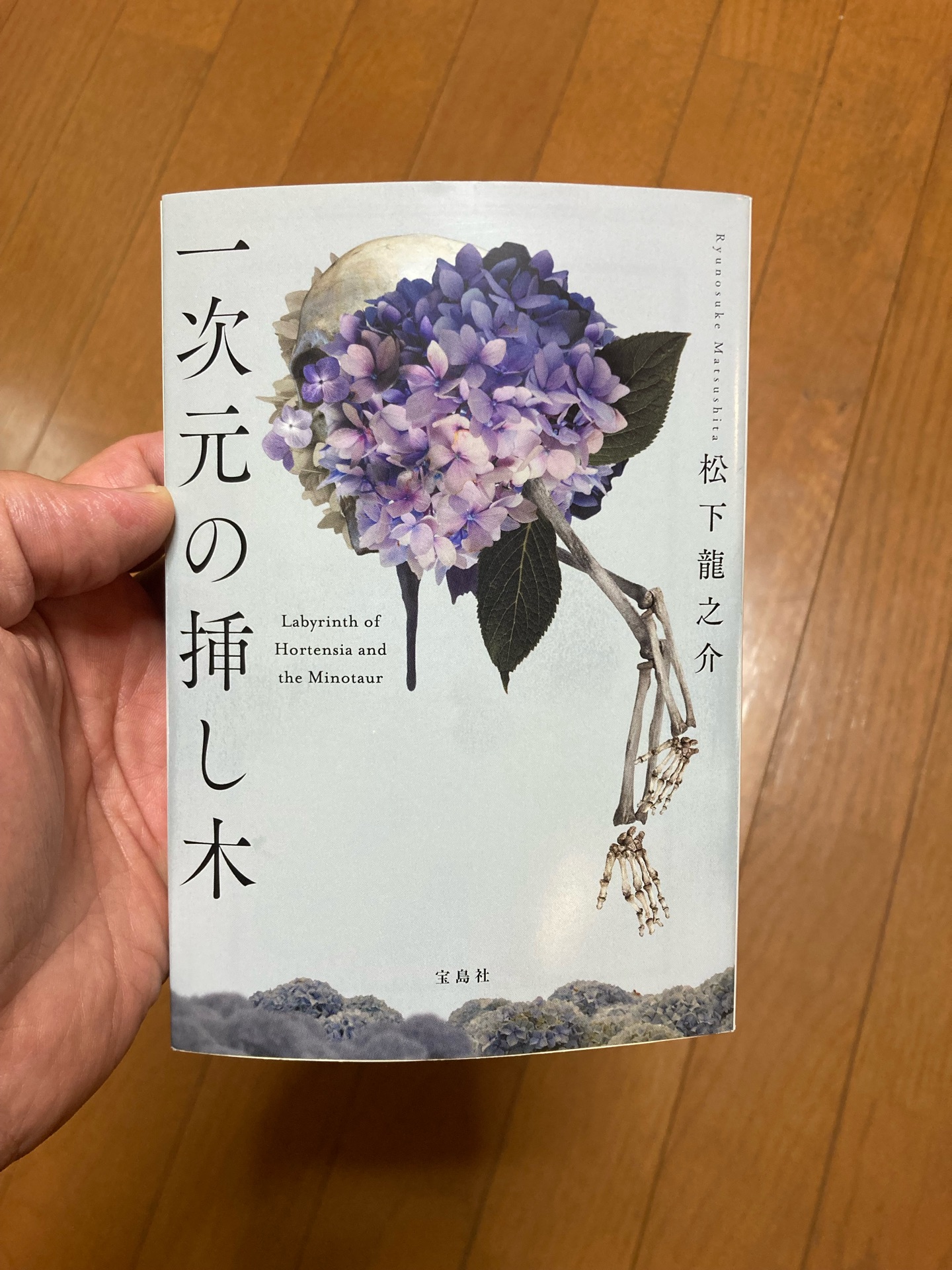 一次元の挿し木 (宝島社文庫)