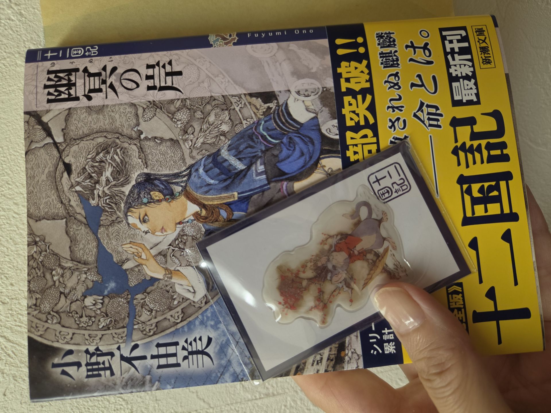 幽冥の岸 十二国記