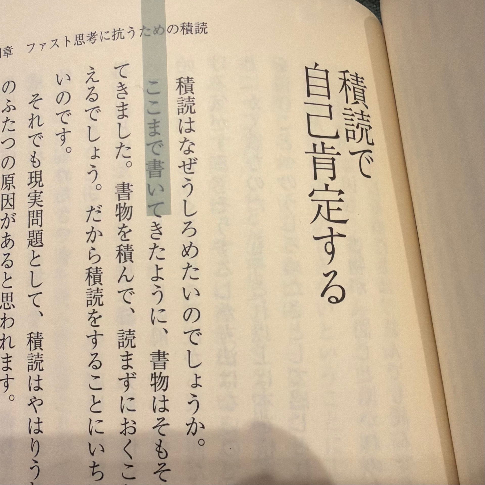 積読こそが完全な読書術である