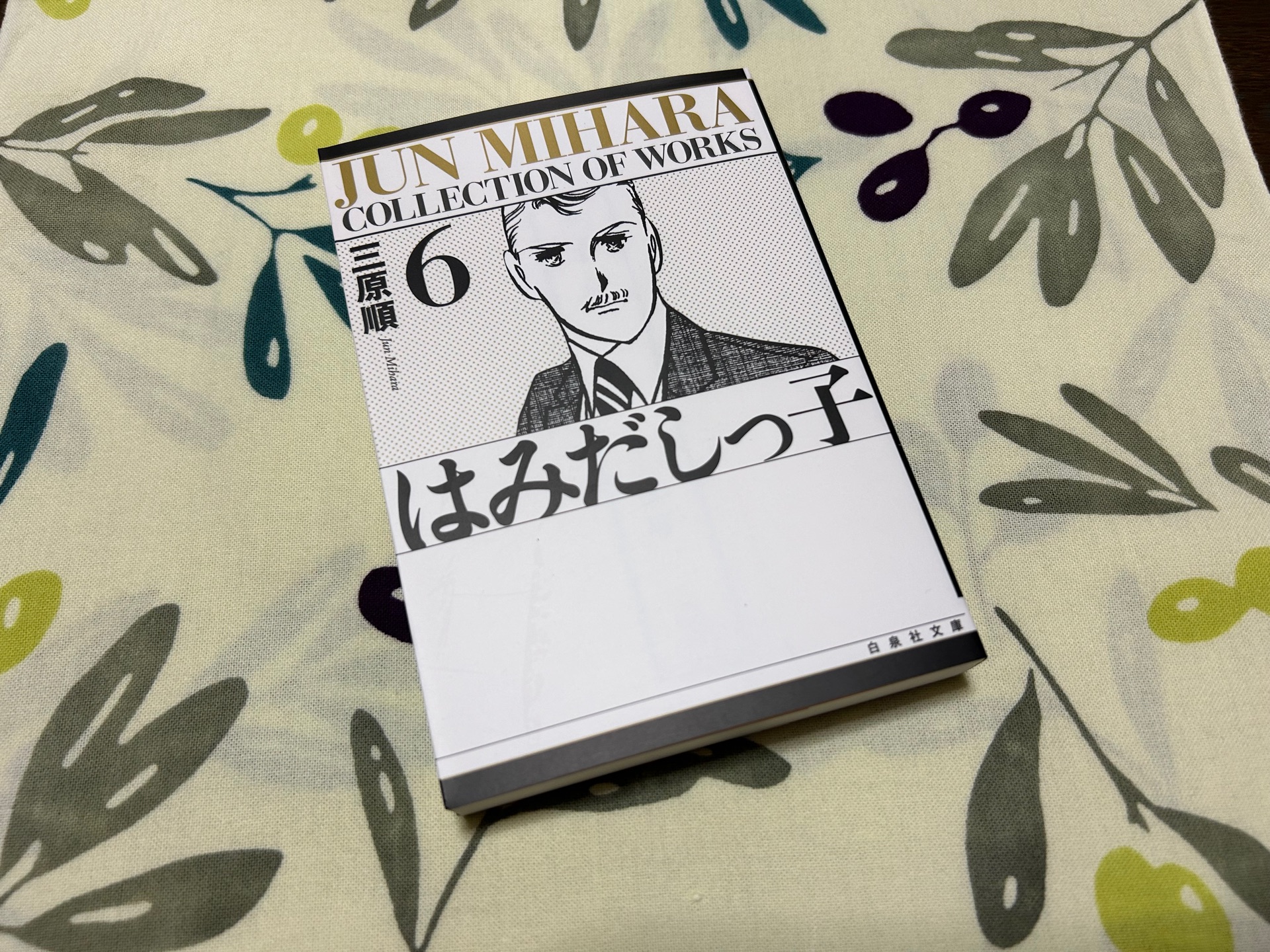 はみだしっ子(第6巻)