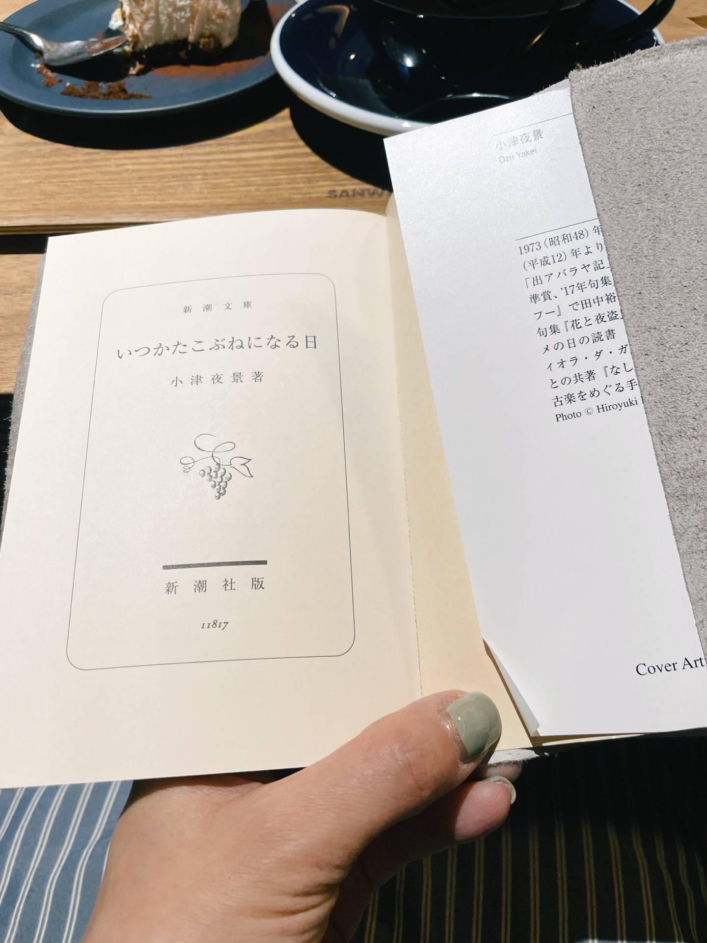 いつかたこぶねになる日