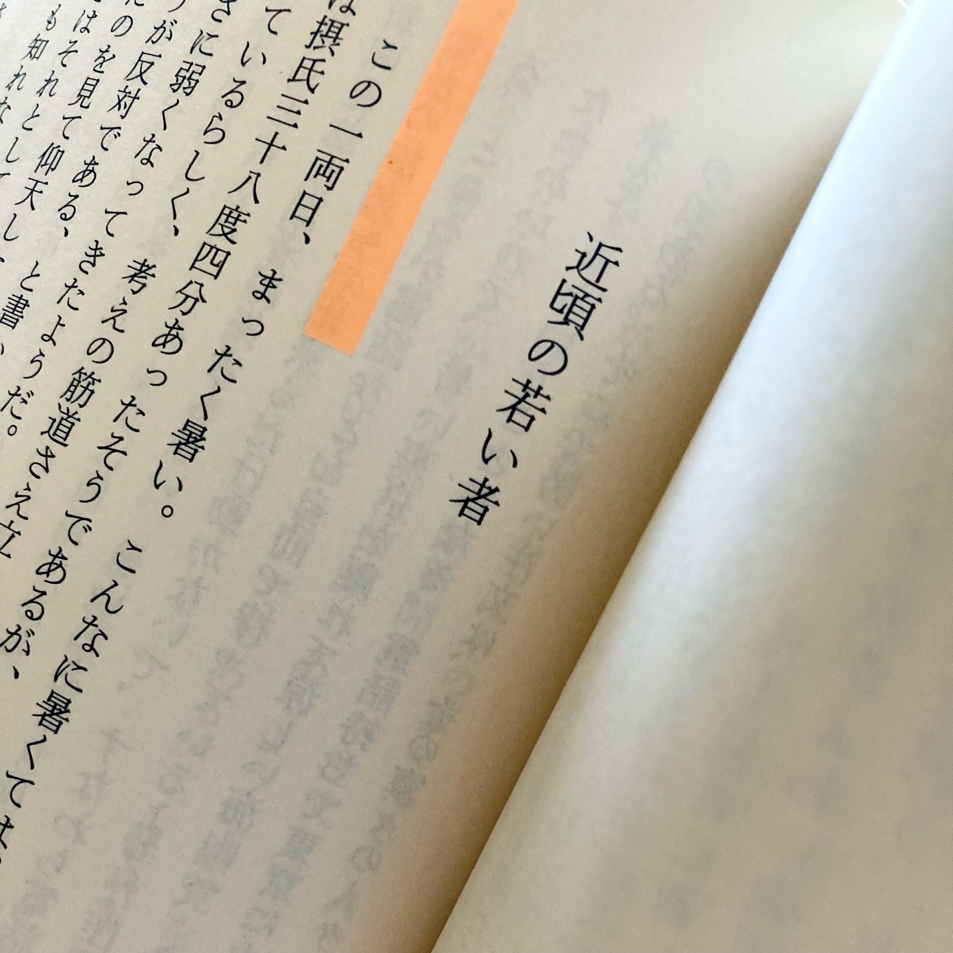 怠惰の美徳 (中公文庫)