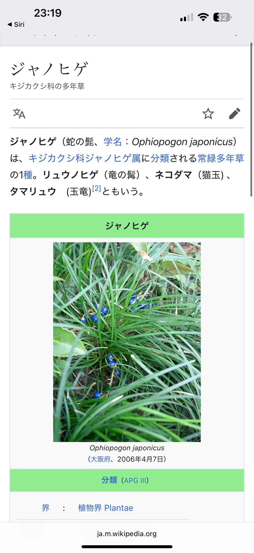 椿の海の記