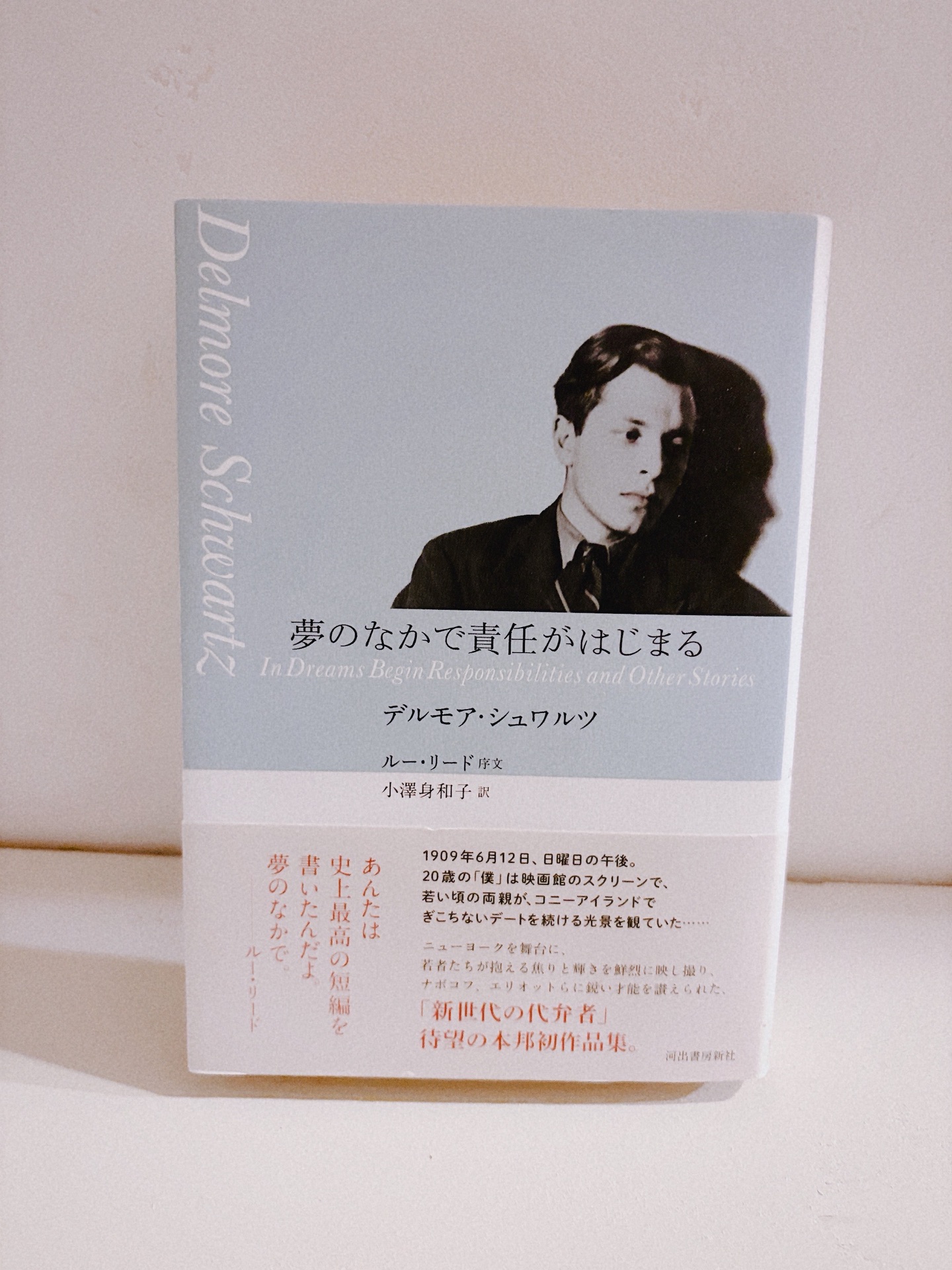 夢のなかで責任がはじまる