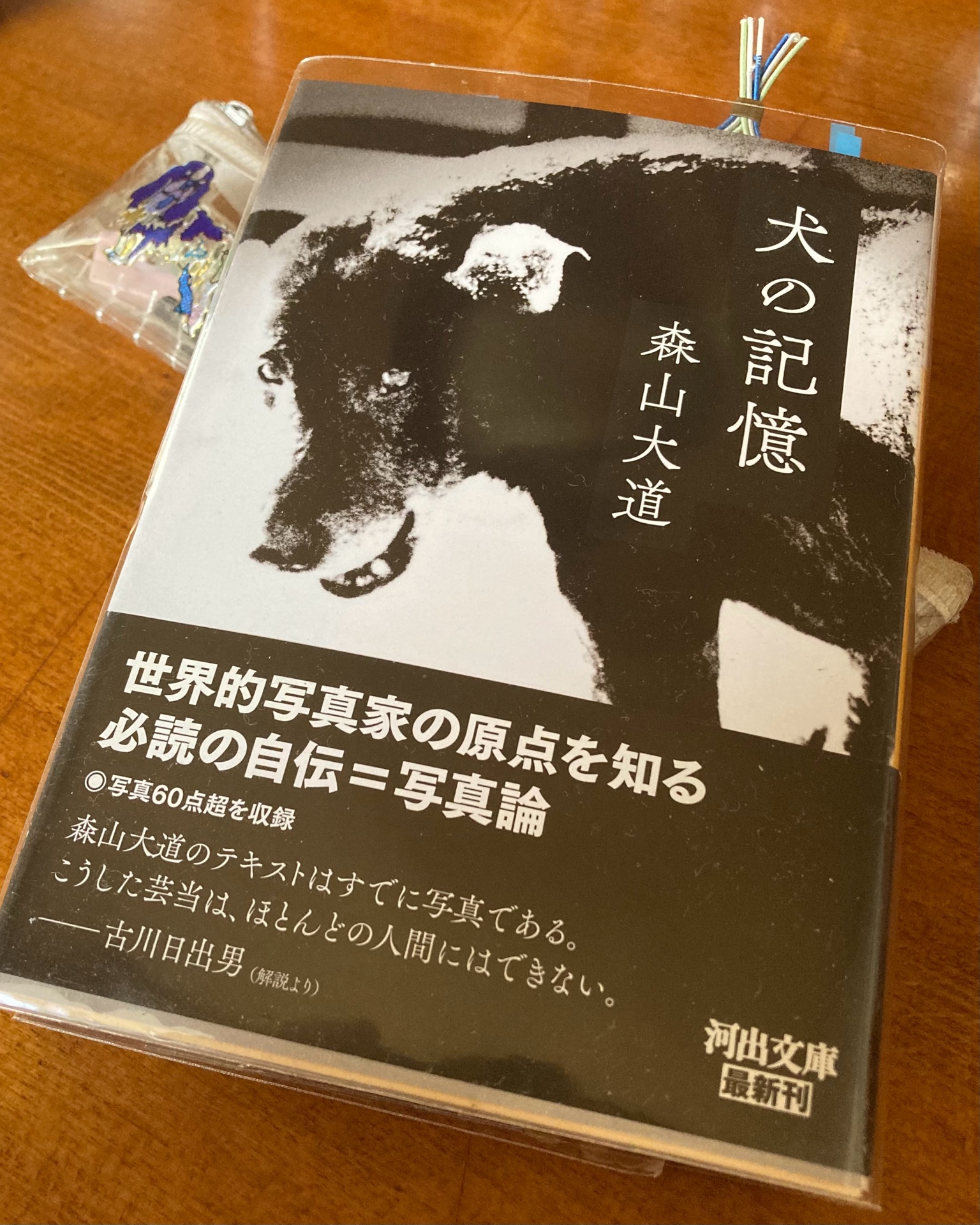 犬の記憶