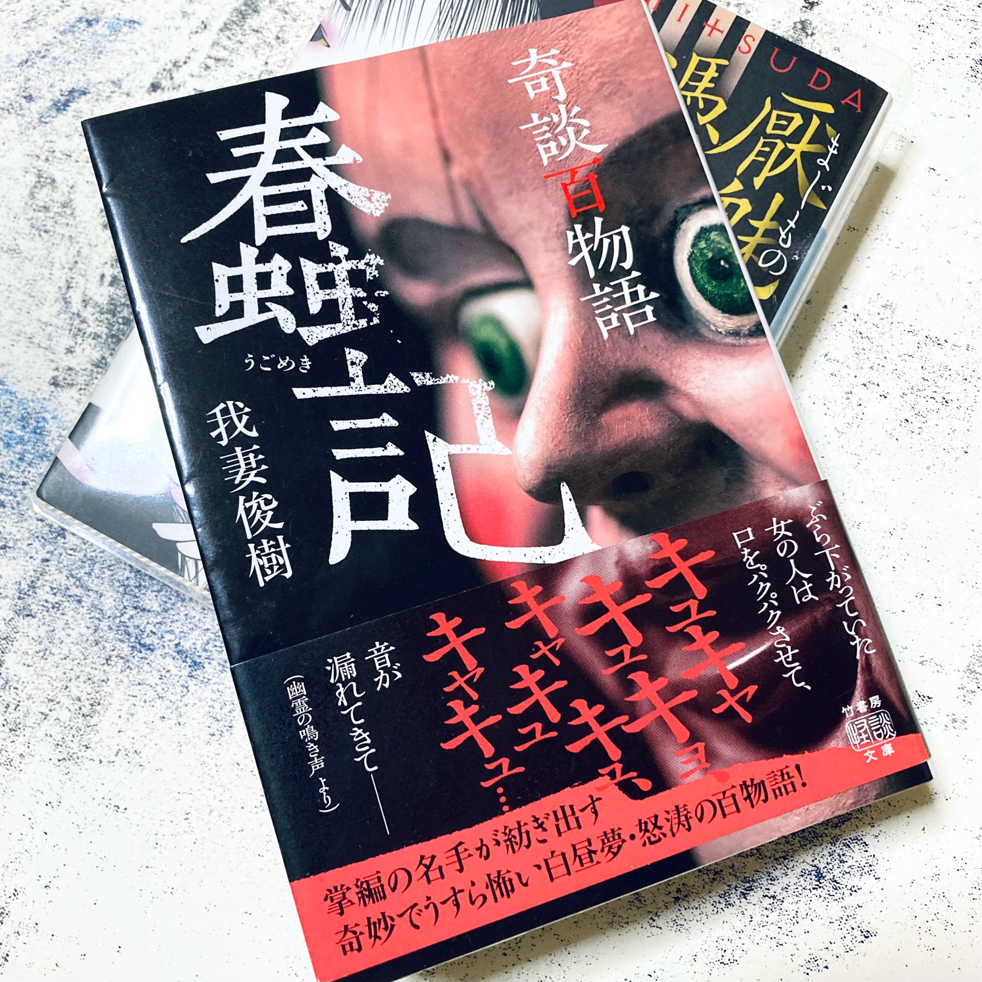 奇談百物語 蠢記