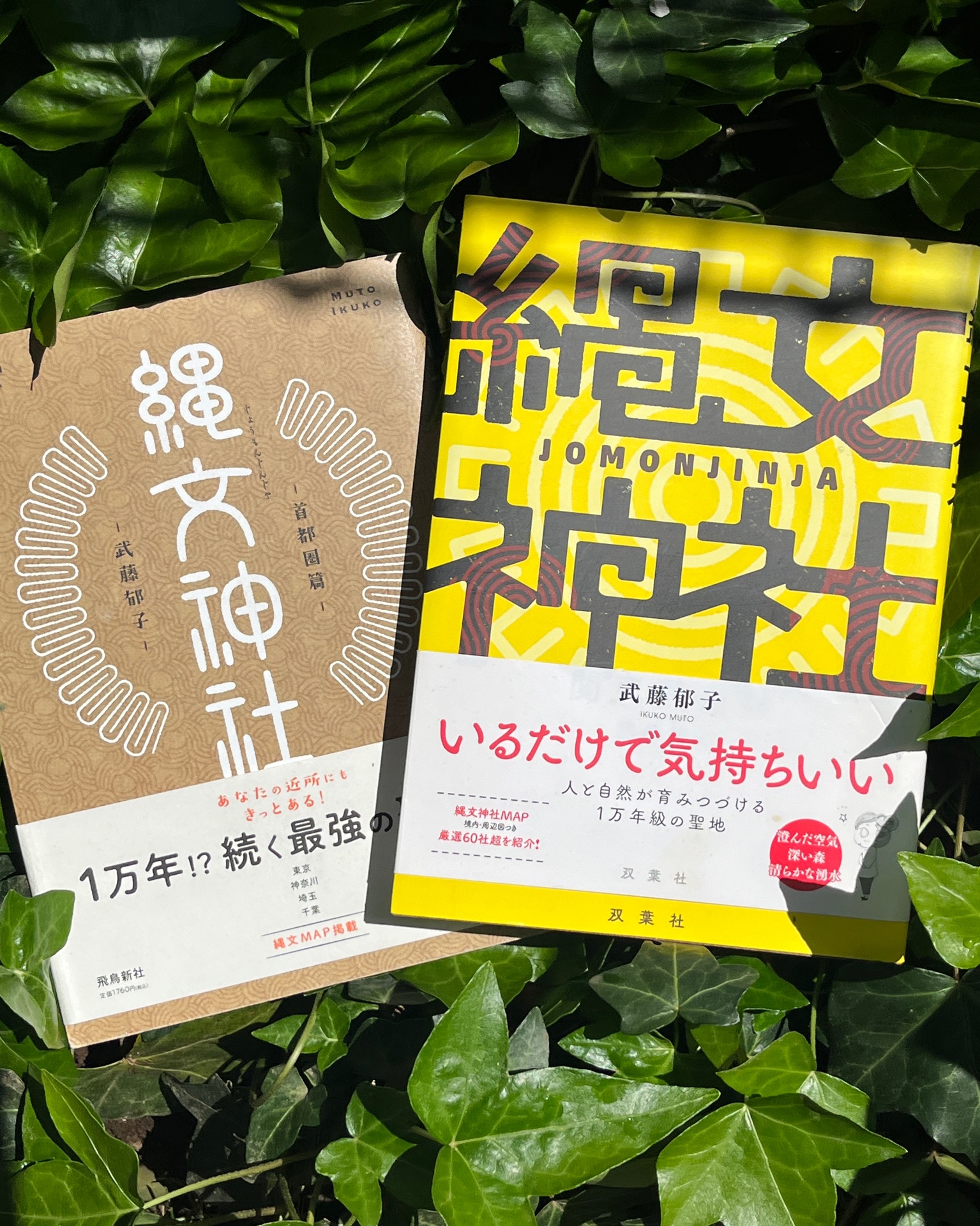 縄文神社 関東甲信篇