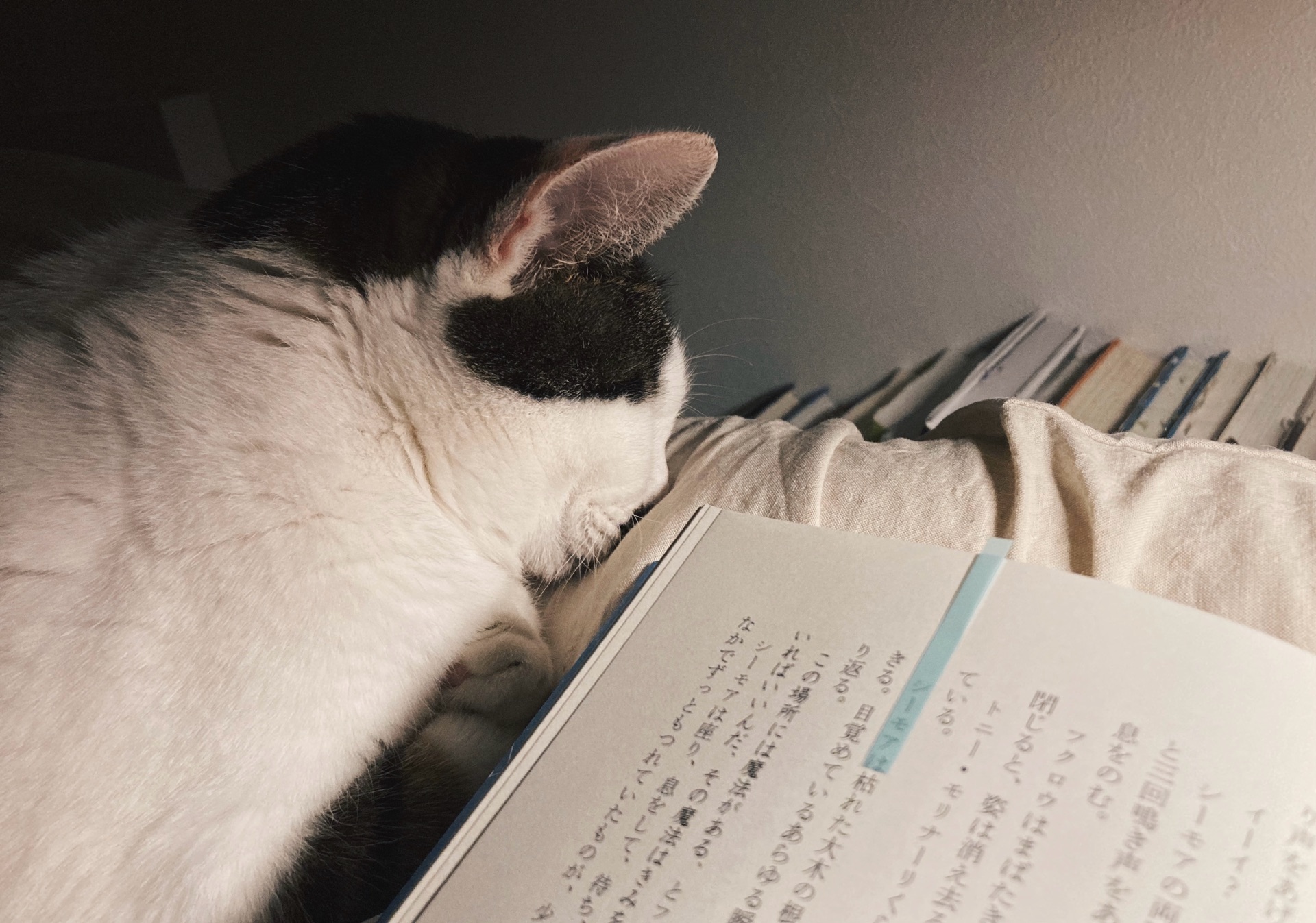 天空の都の物語