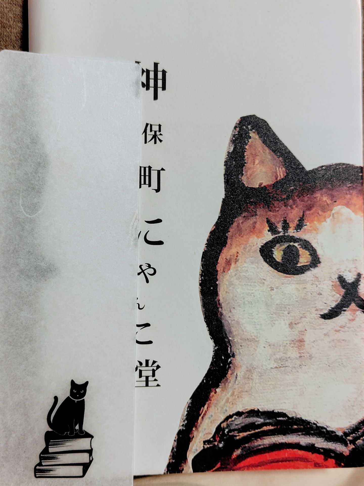 黒猫を飼い始めた (講談社文庫)