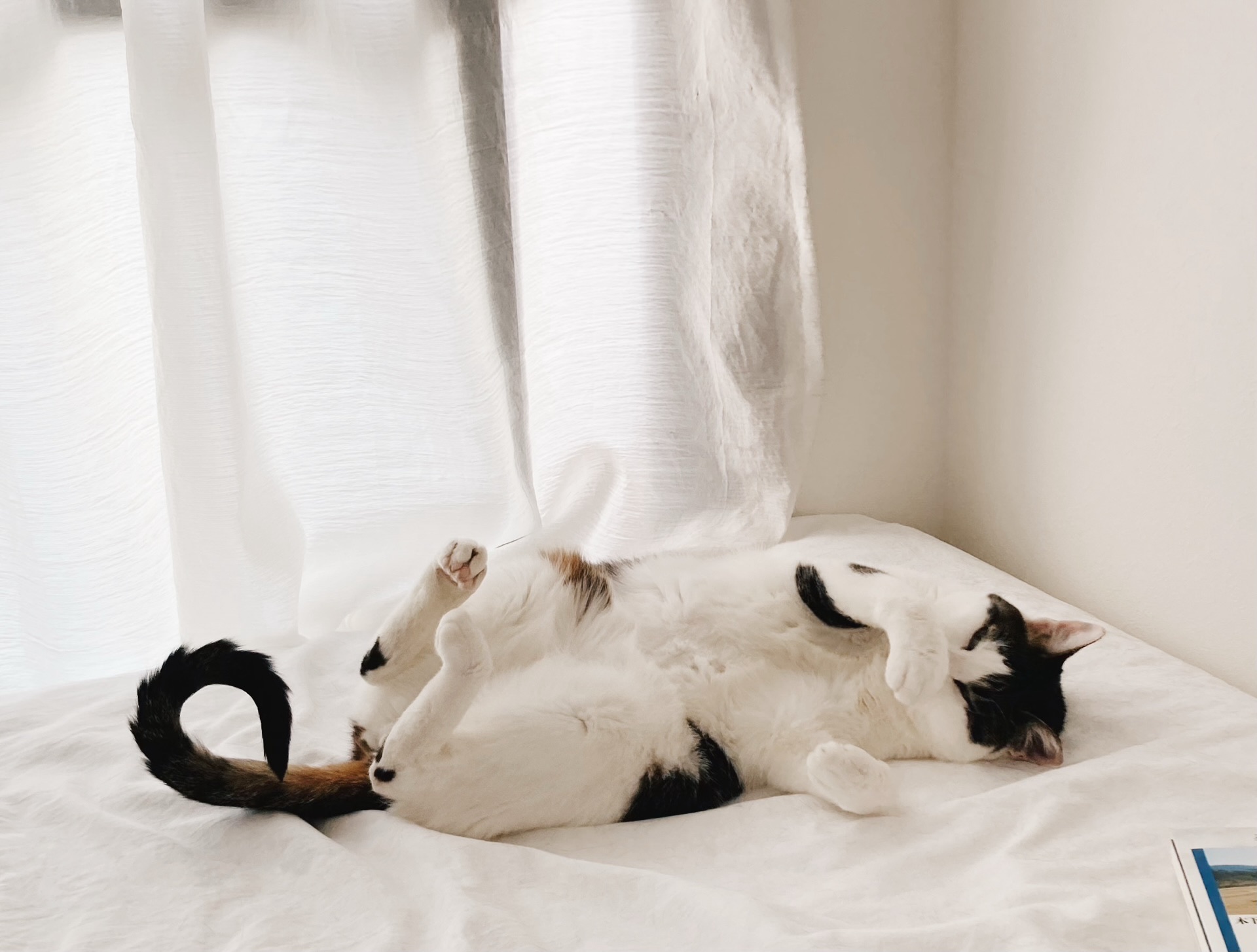 ミトンとふびん