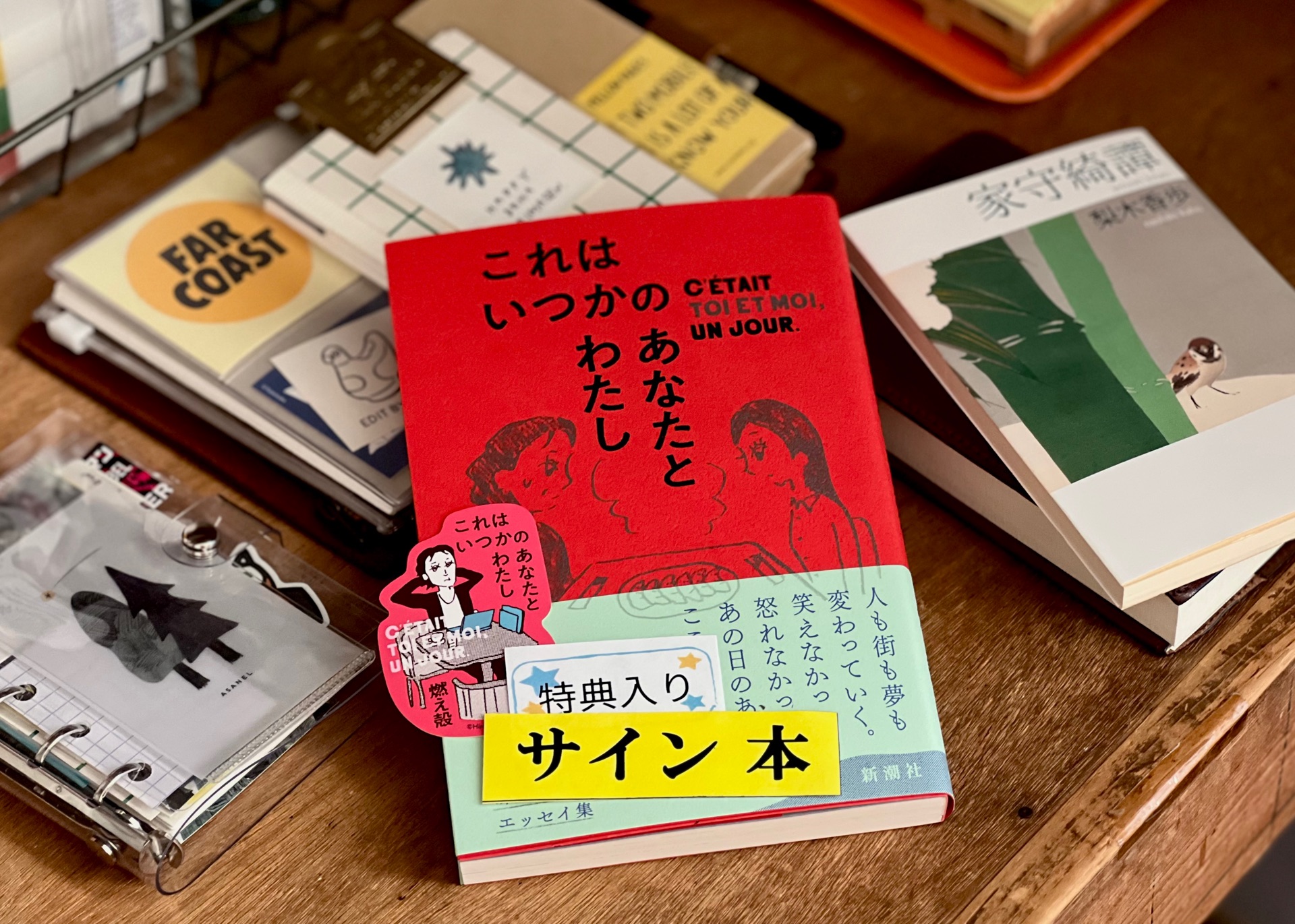 これはいつかのあなたとわたし