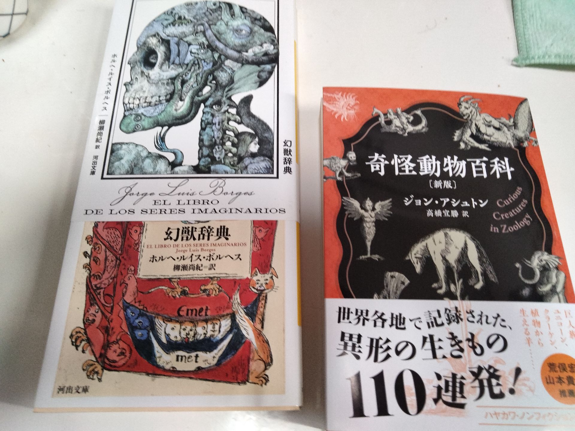 奇怪動物百科〔新版〕