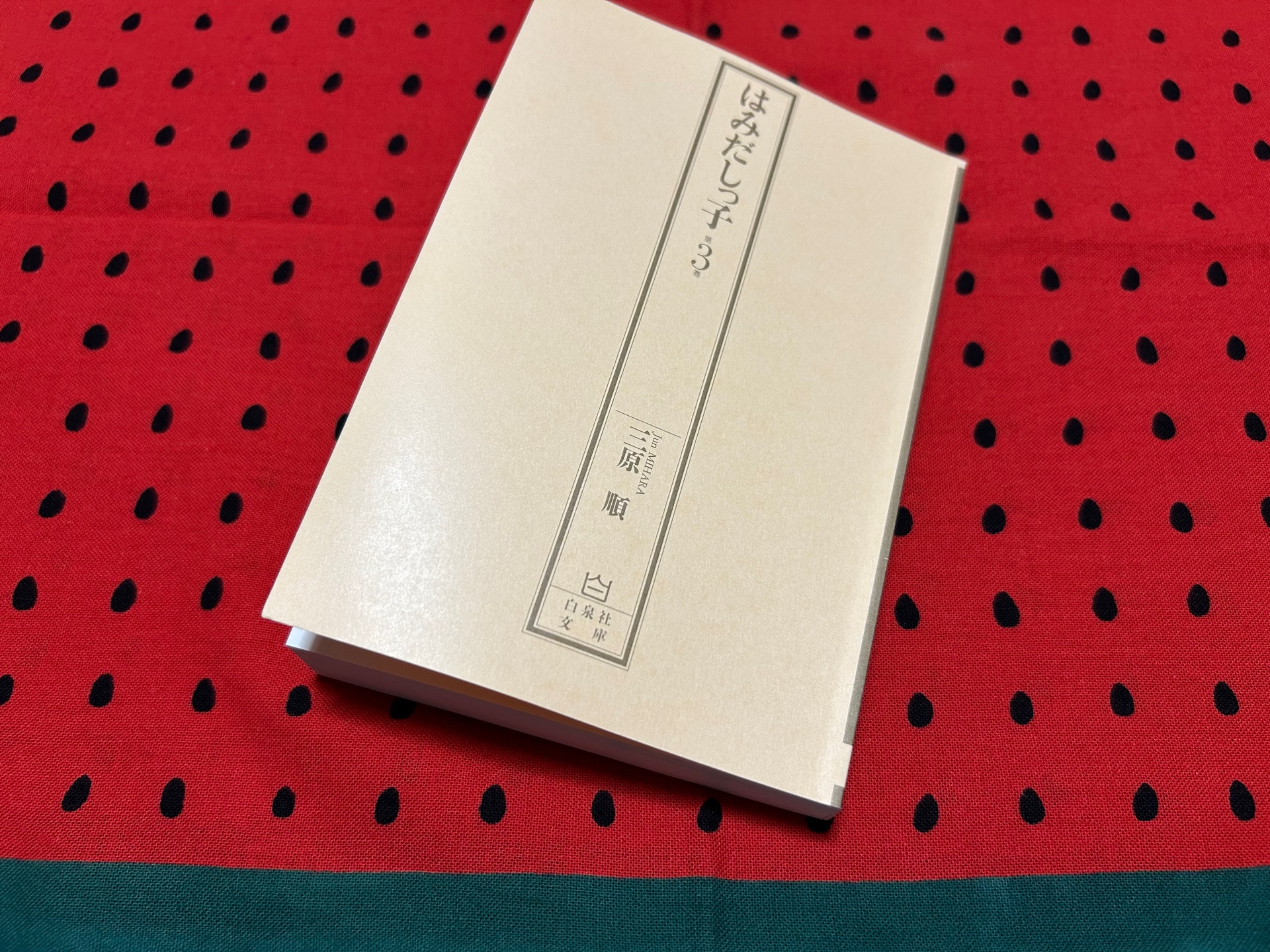 はみだしっ子(第3巻)