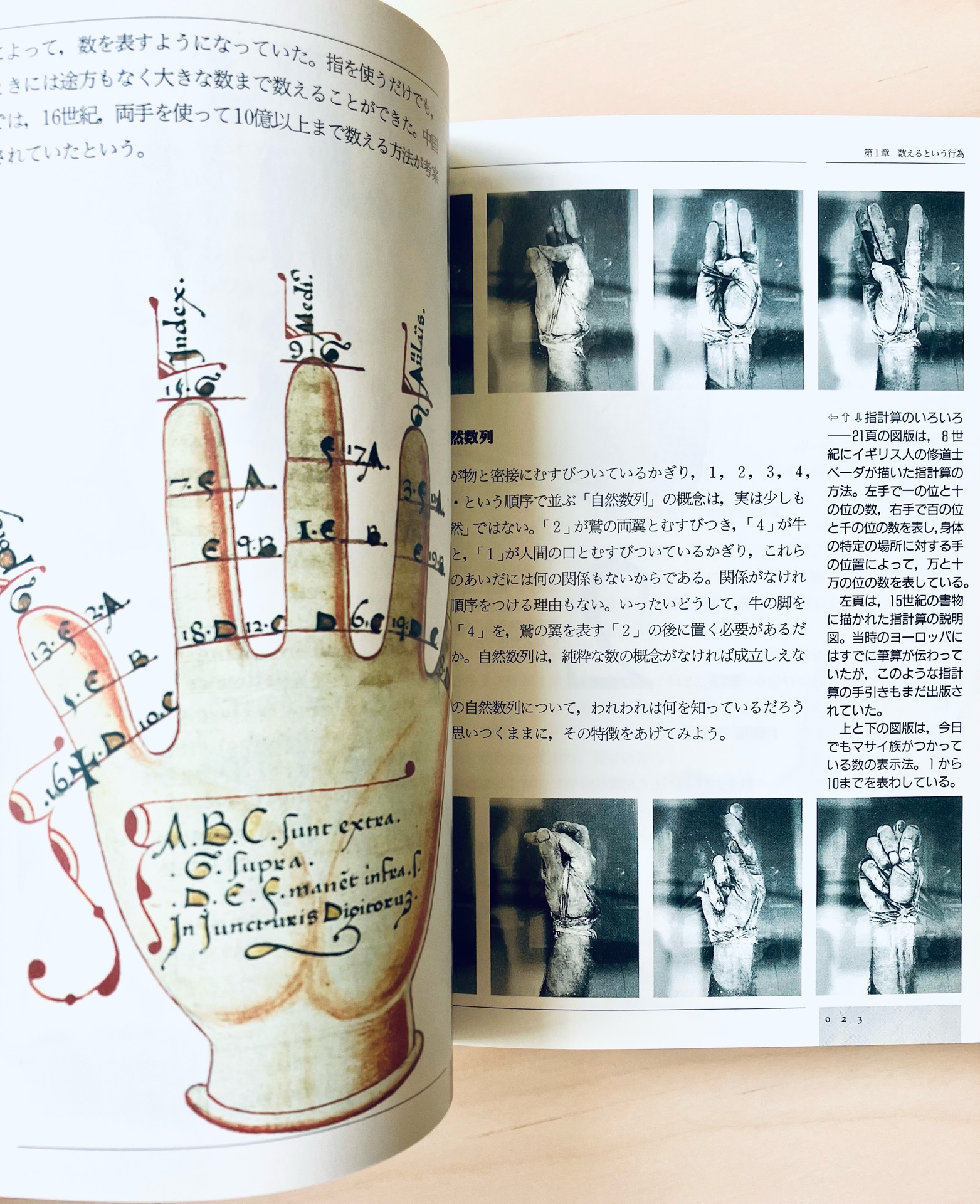数の歴史