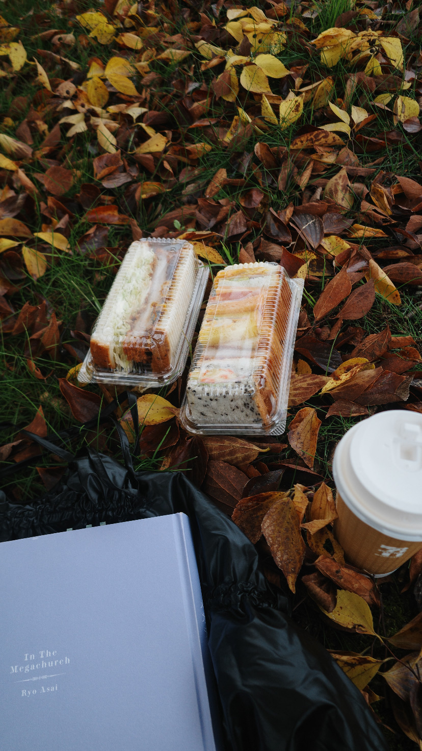 イン・ザ・メガチャーチ