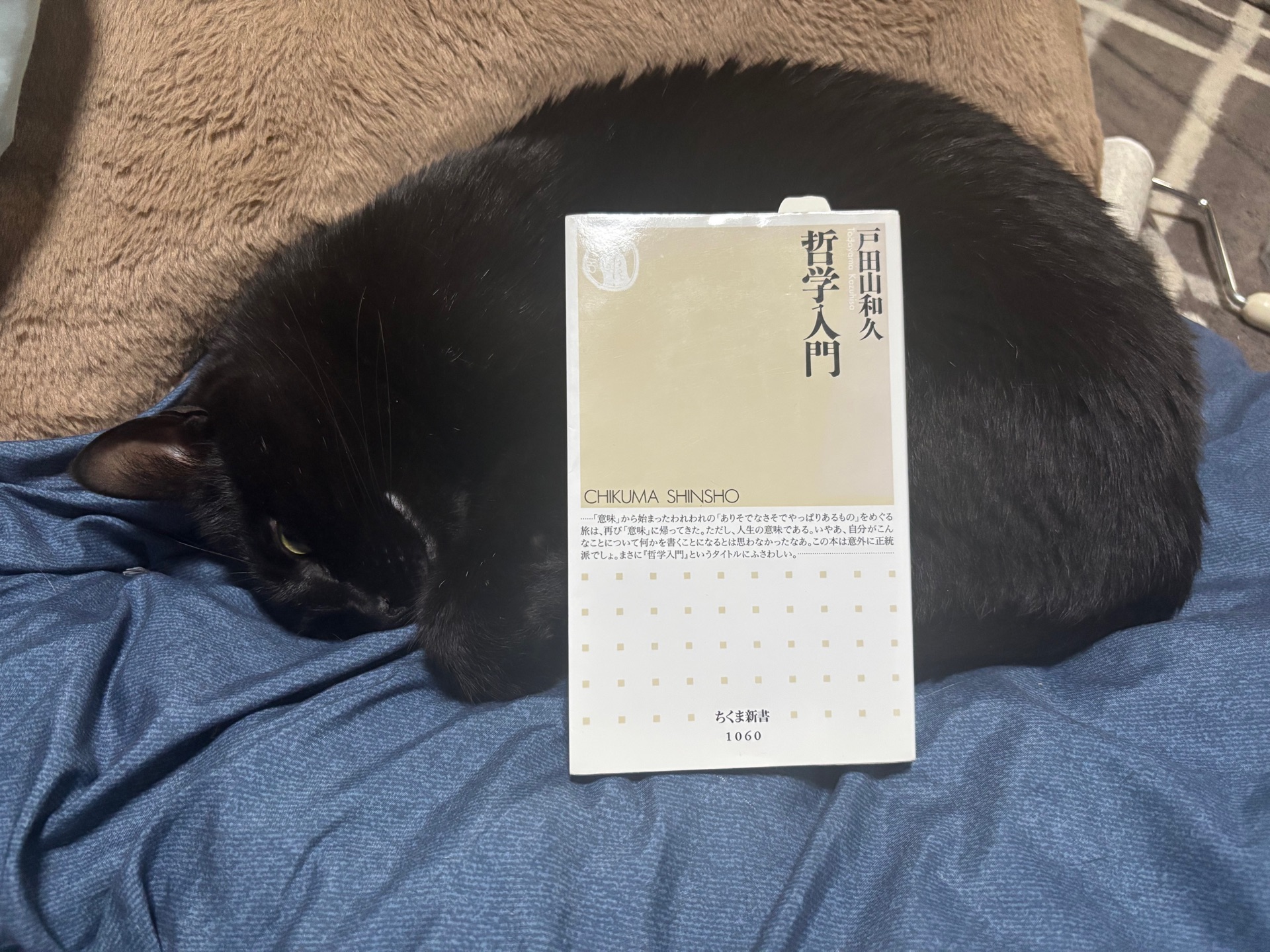 哲学入門