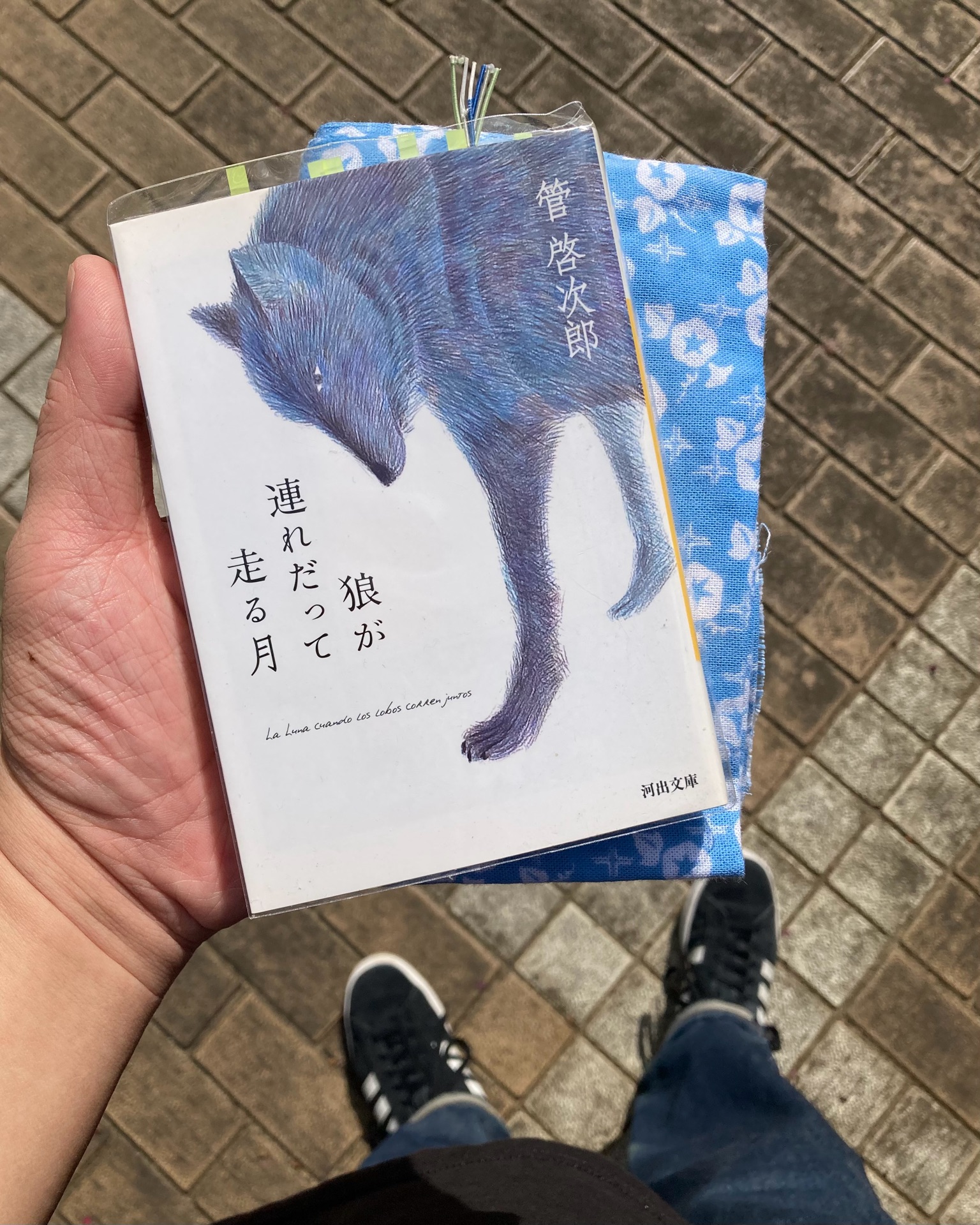 狼が連れだって走る月