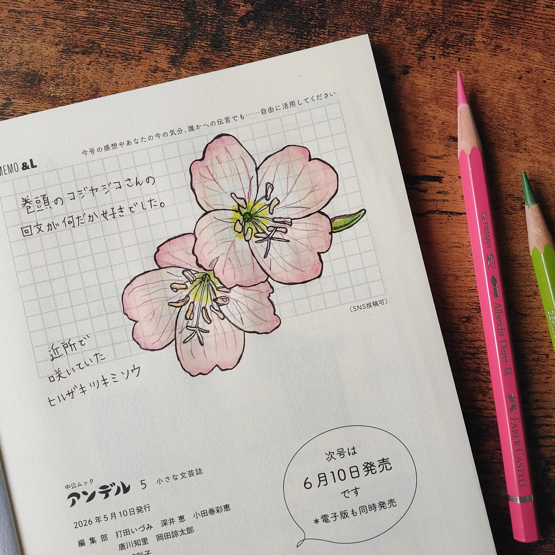 アンデル5