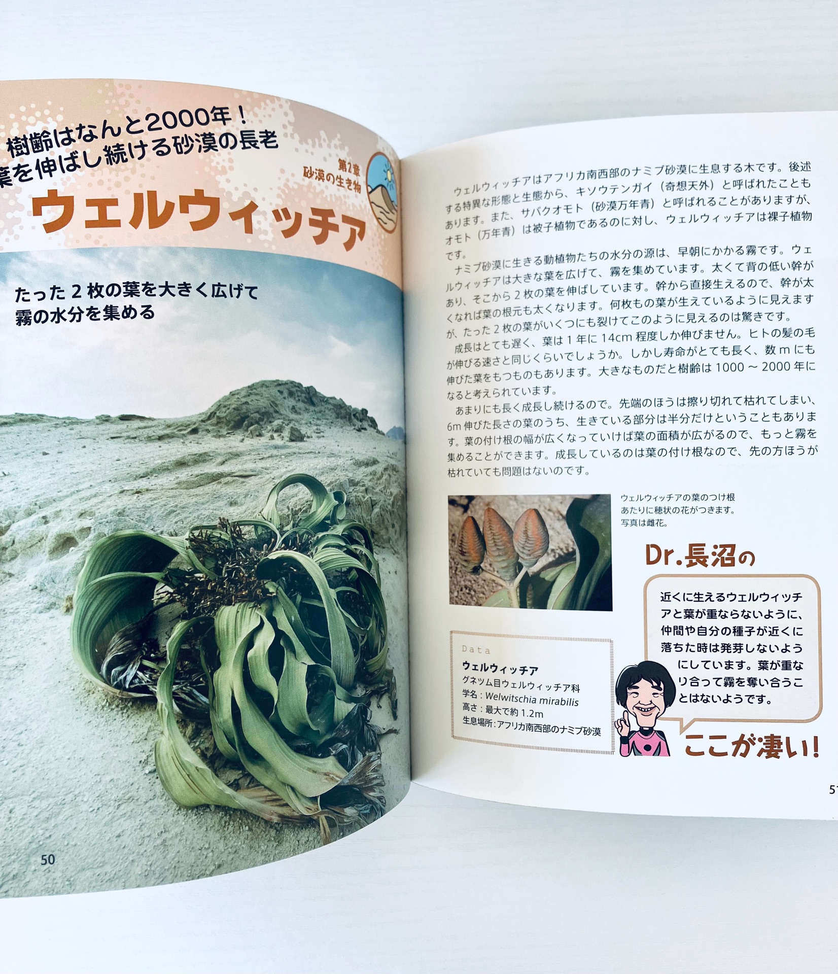 驚異の極限生物ファイル: クマムシだけじゃない! 過酷な環境を生き抜くタフなやつら