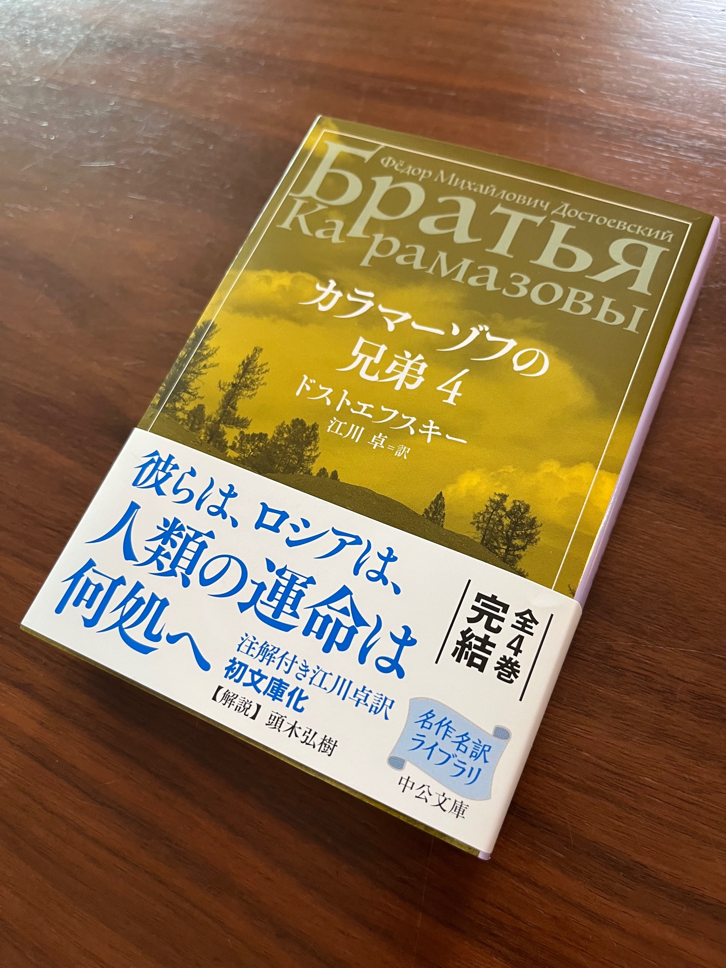 カラマーゾフの兄弟　4