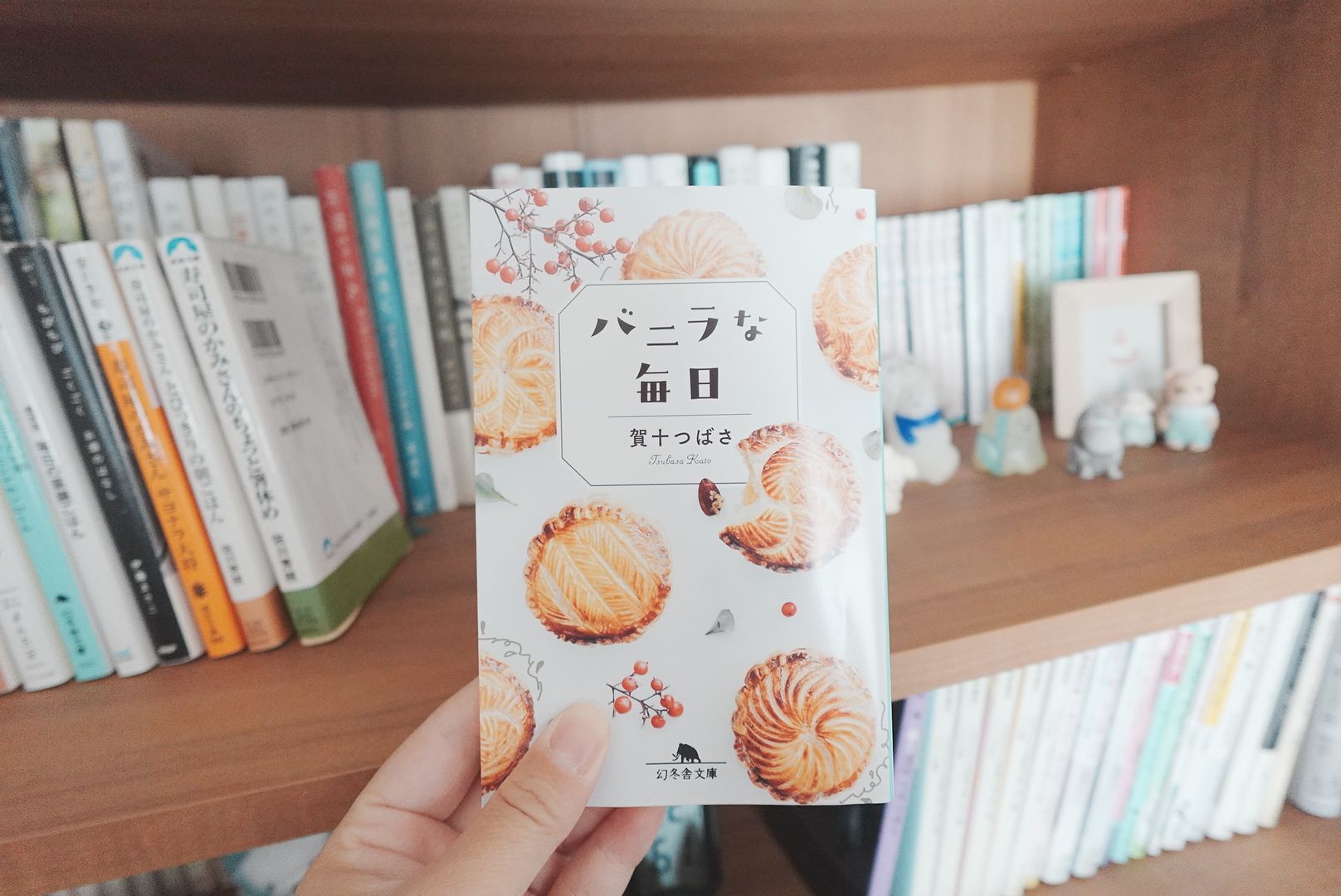 バニラな毎日 (幻冬舎文庫)