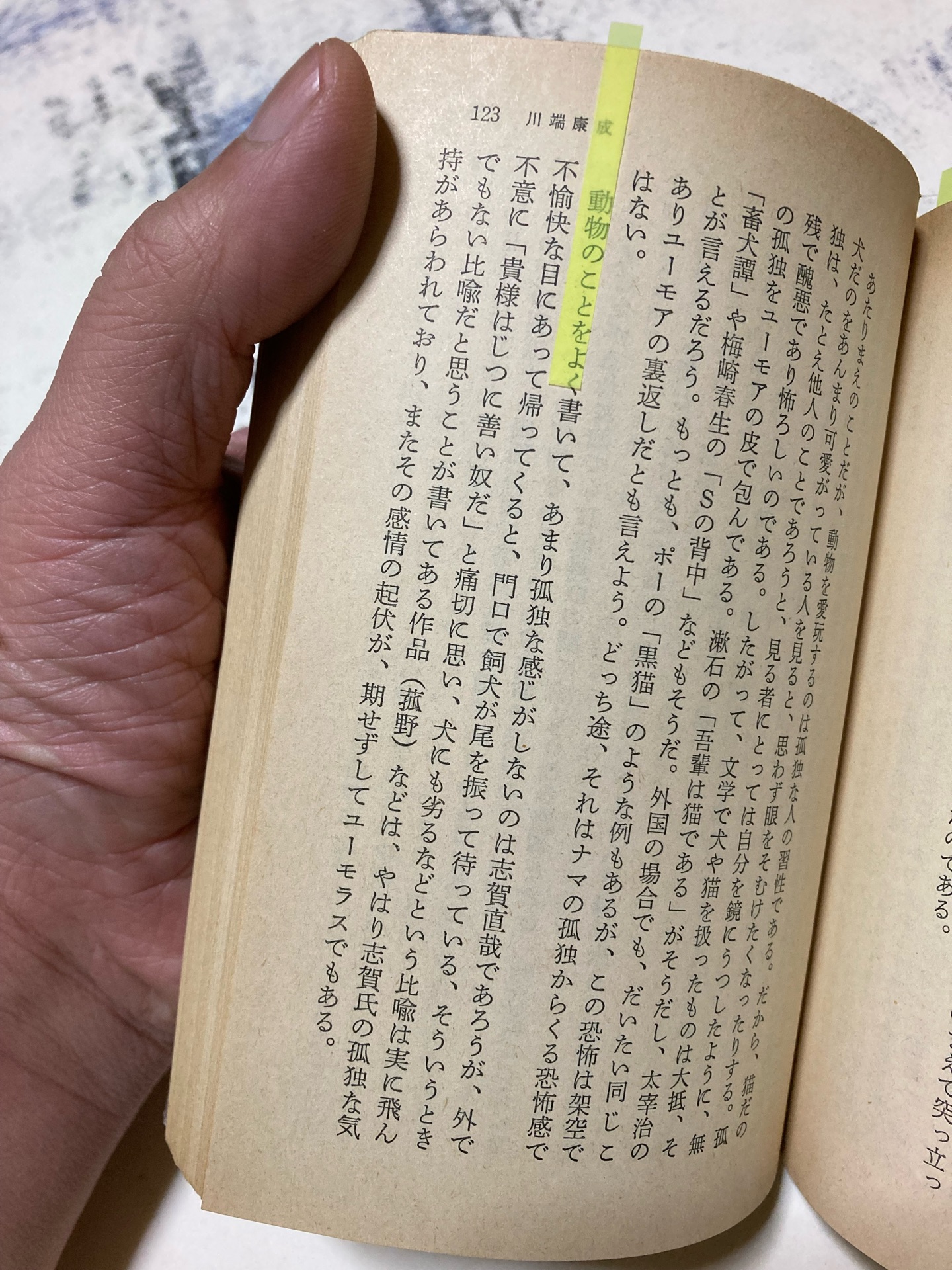小説家の小説家論