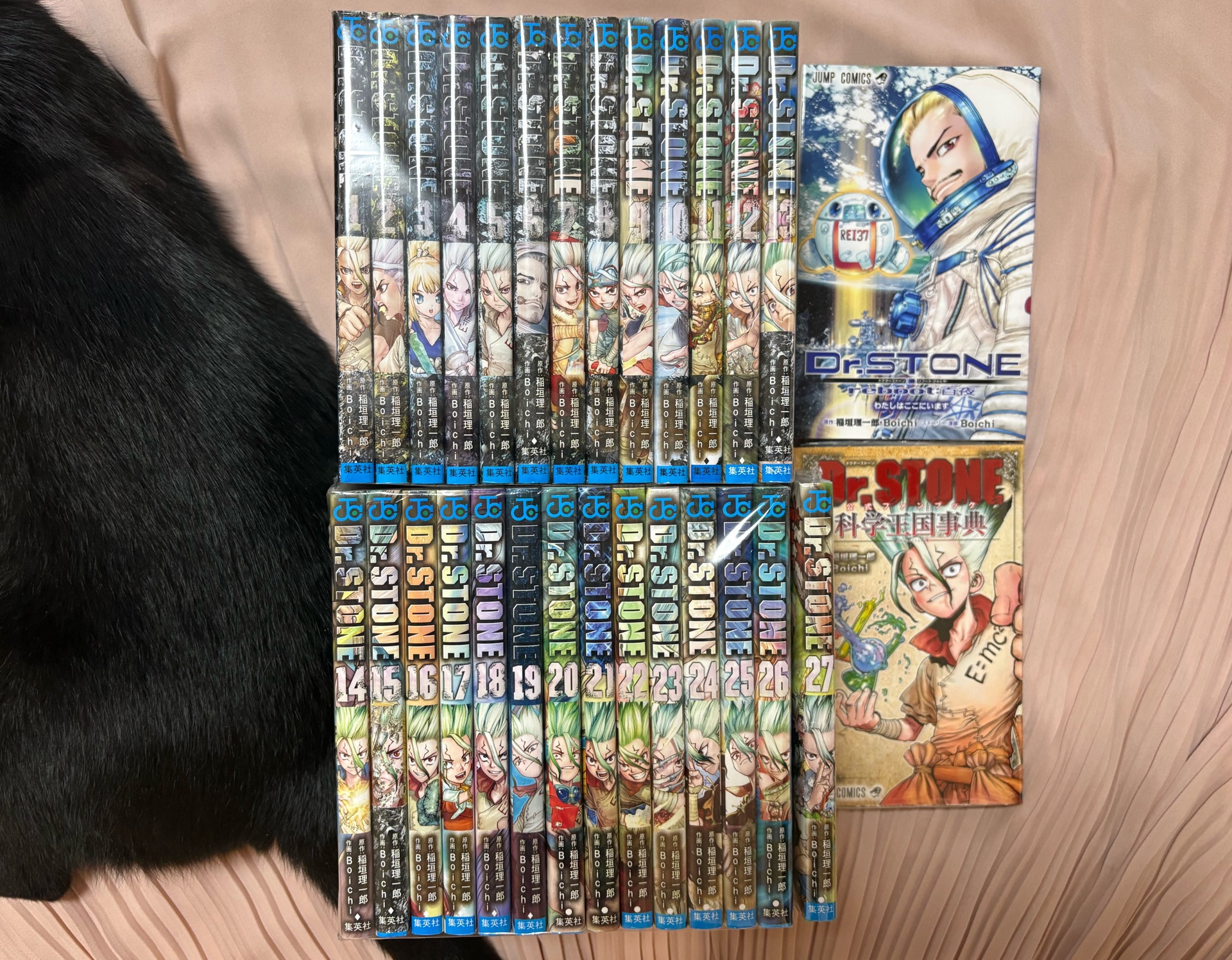 Dr.STONE 1