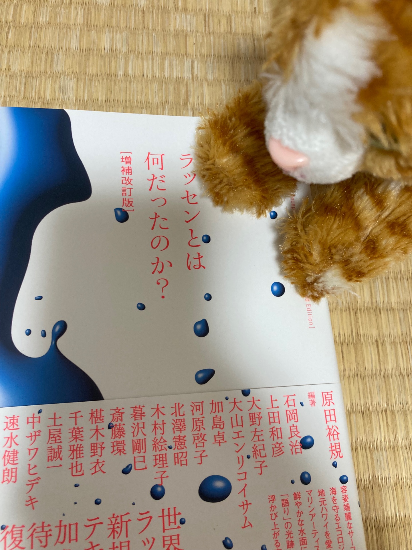 ラッセンとは何だったのか？［増補改訂版］