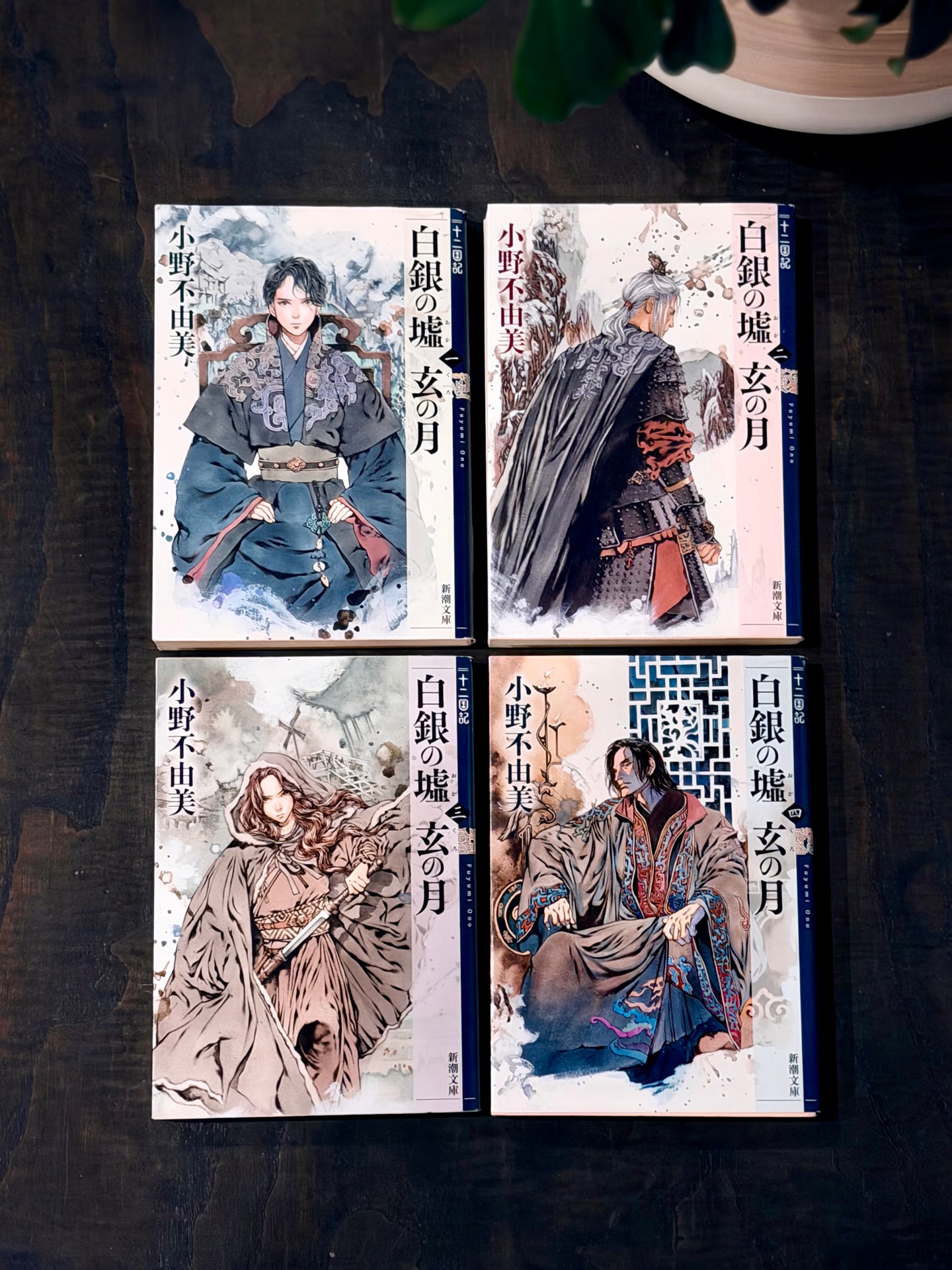 白銀の墟 玄の月 第四巻 十二国記