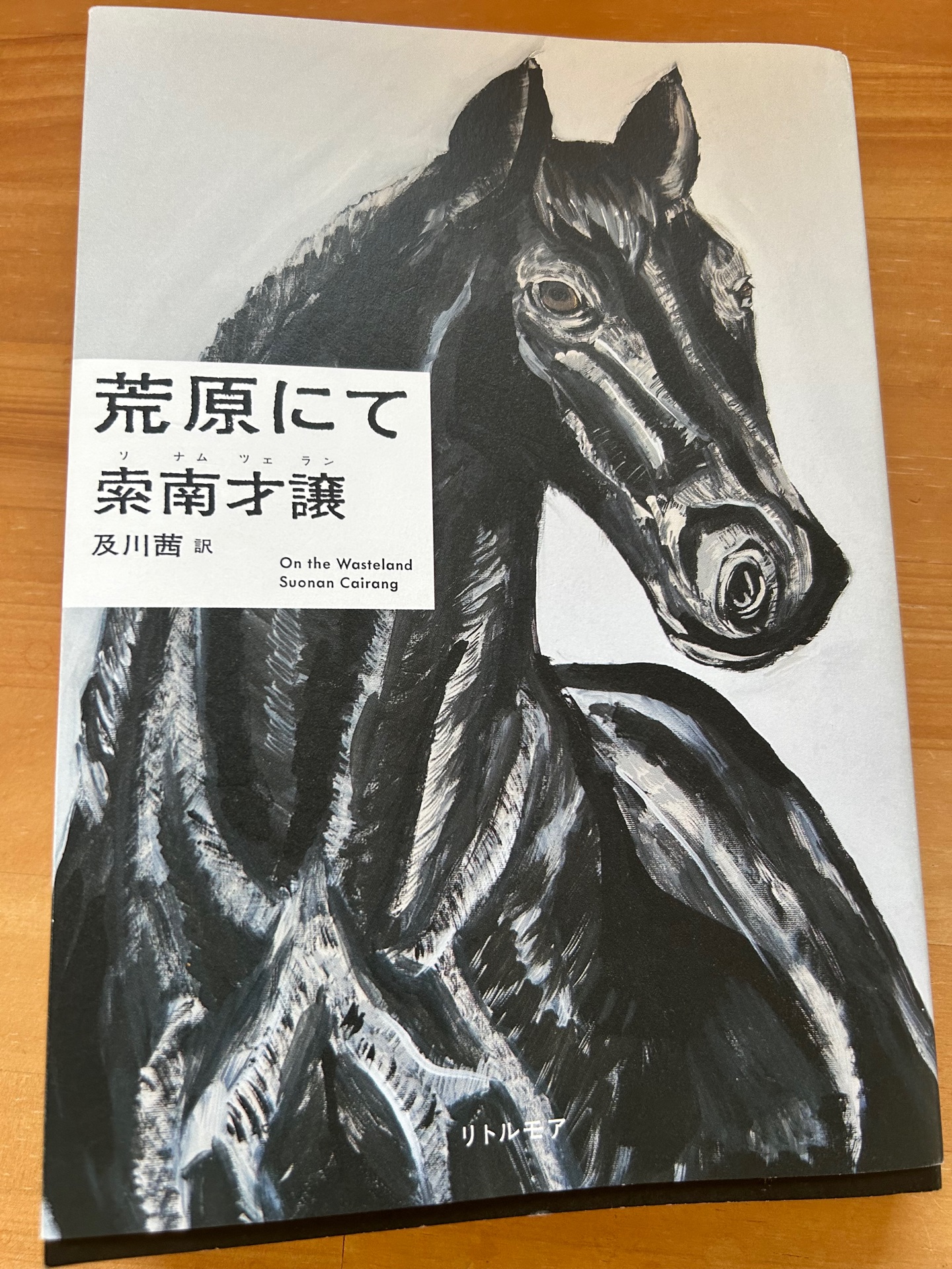 荒原にて