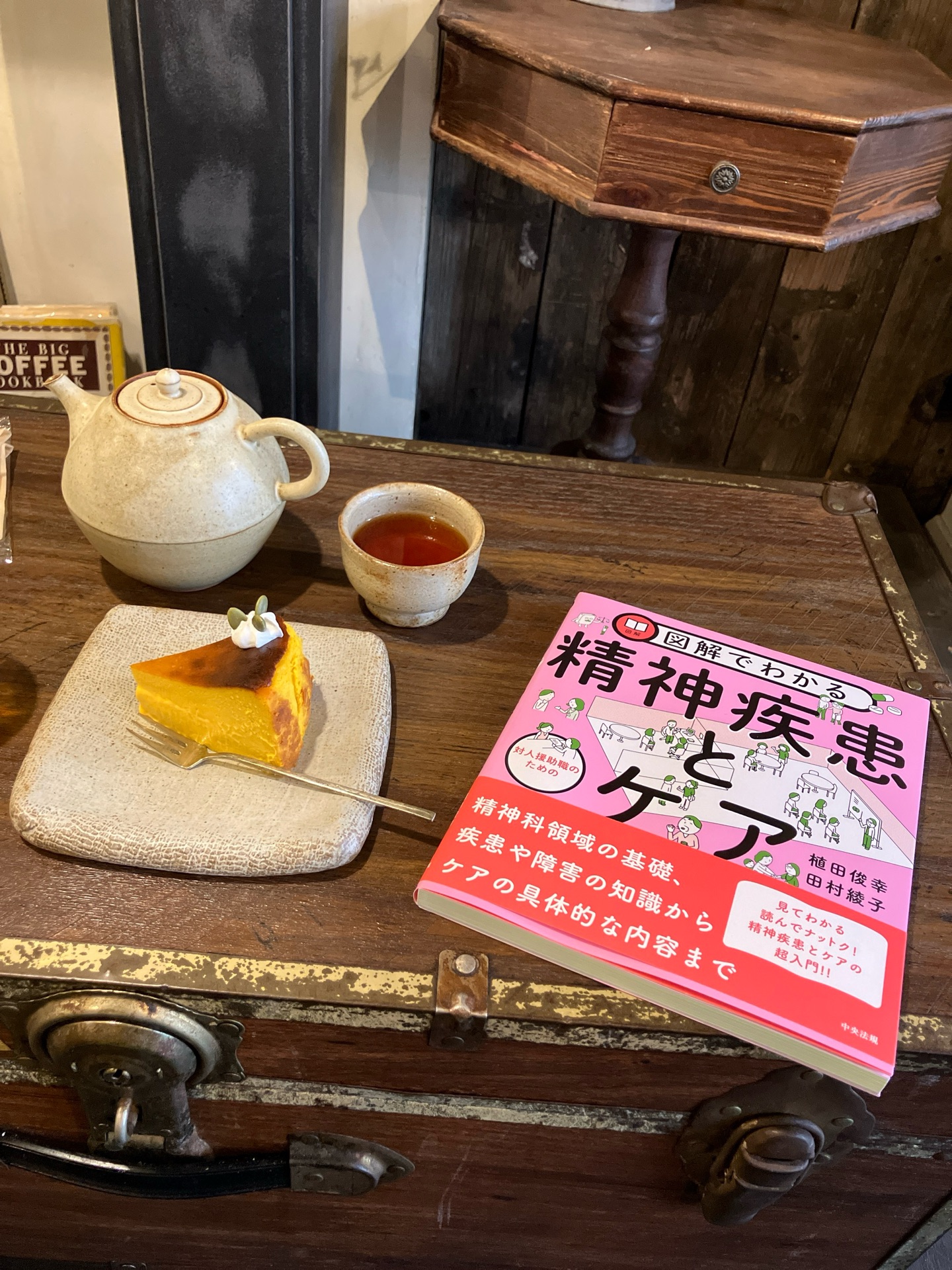 図解でわかる 対人援助職のための精神疾患とケア