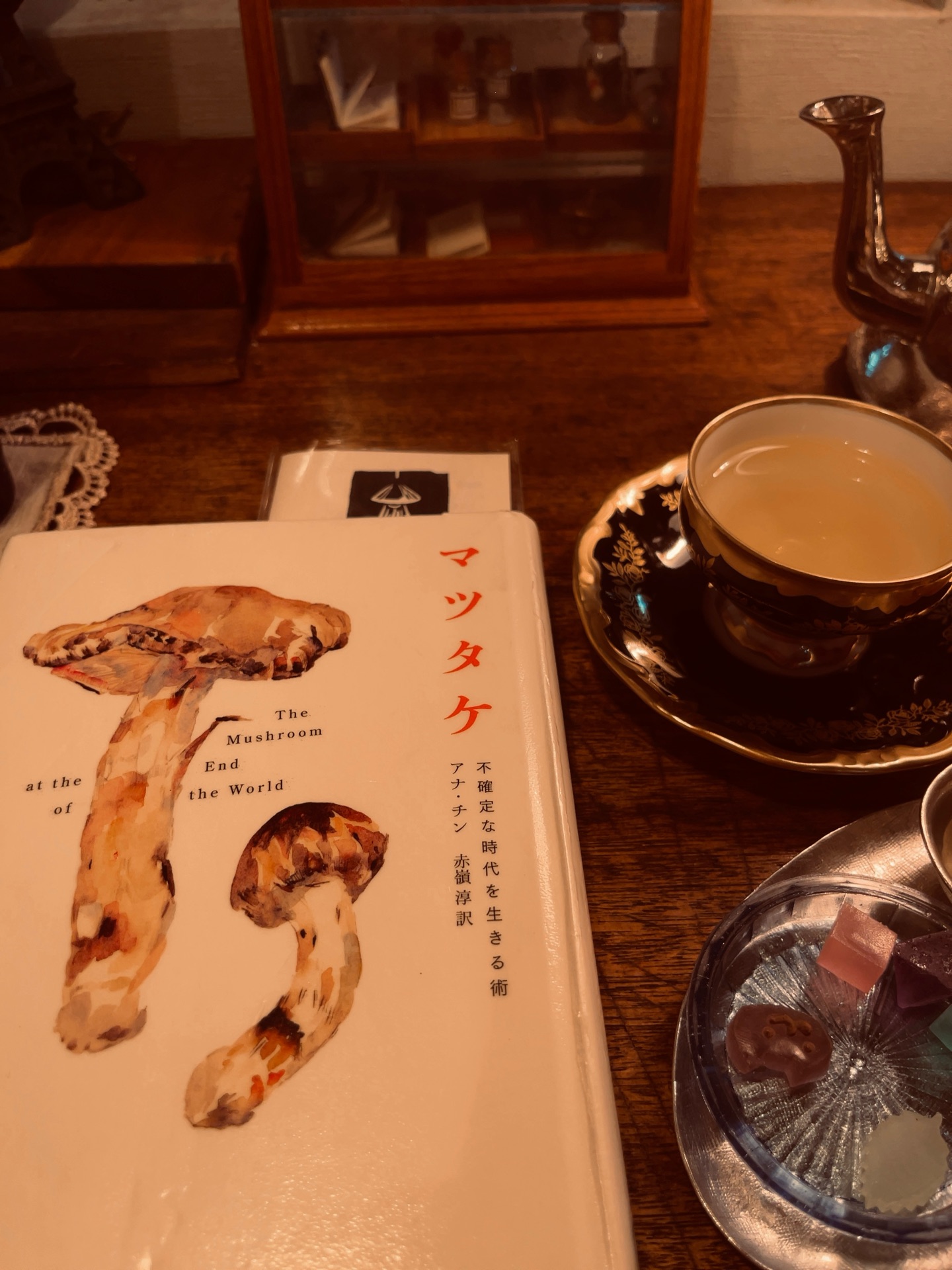 マツタケ
