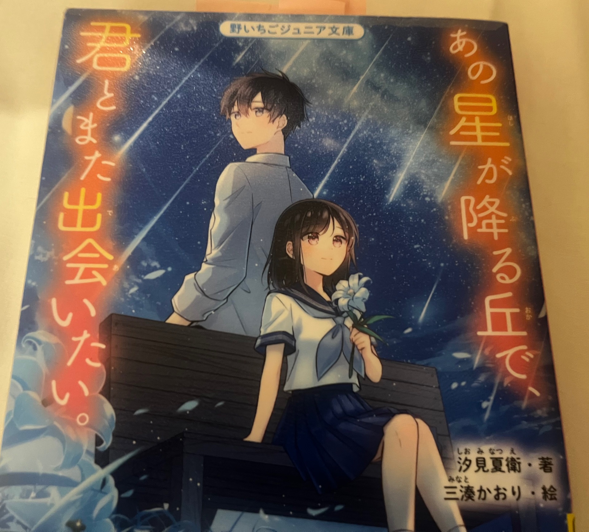 あの星が降る丘で、君とまた出会いたい。