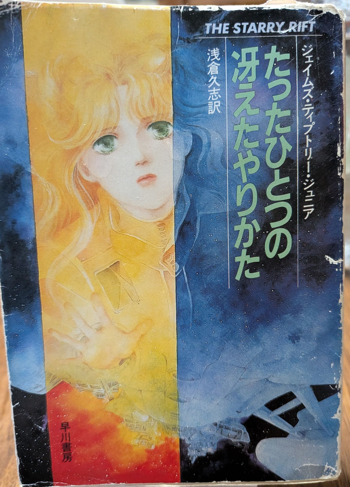 たったひとつの冴えたやりかた