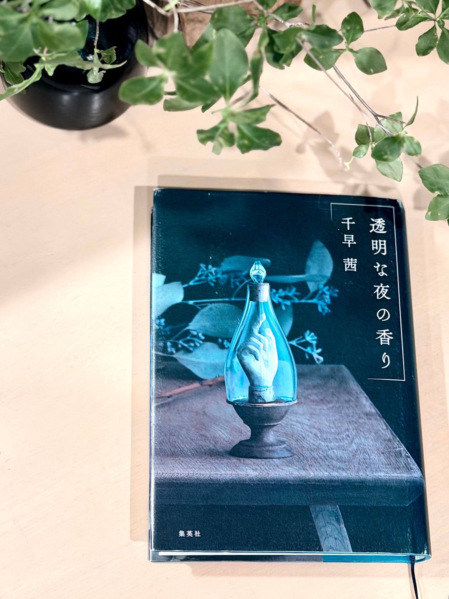 透明な夜の香り