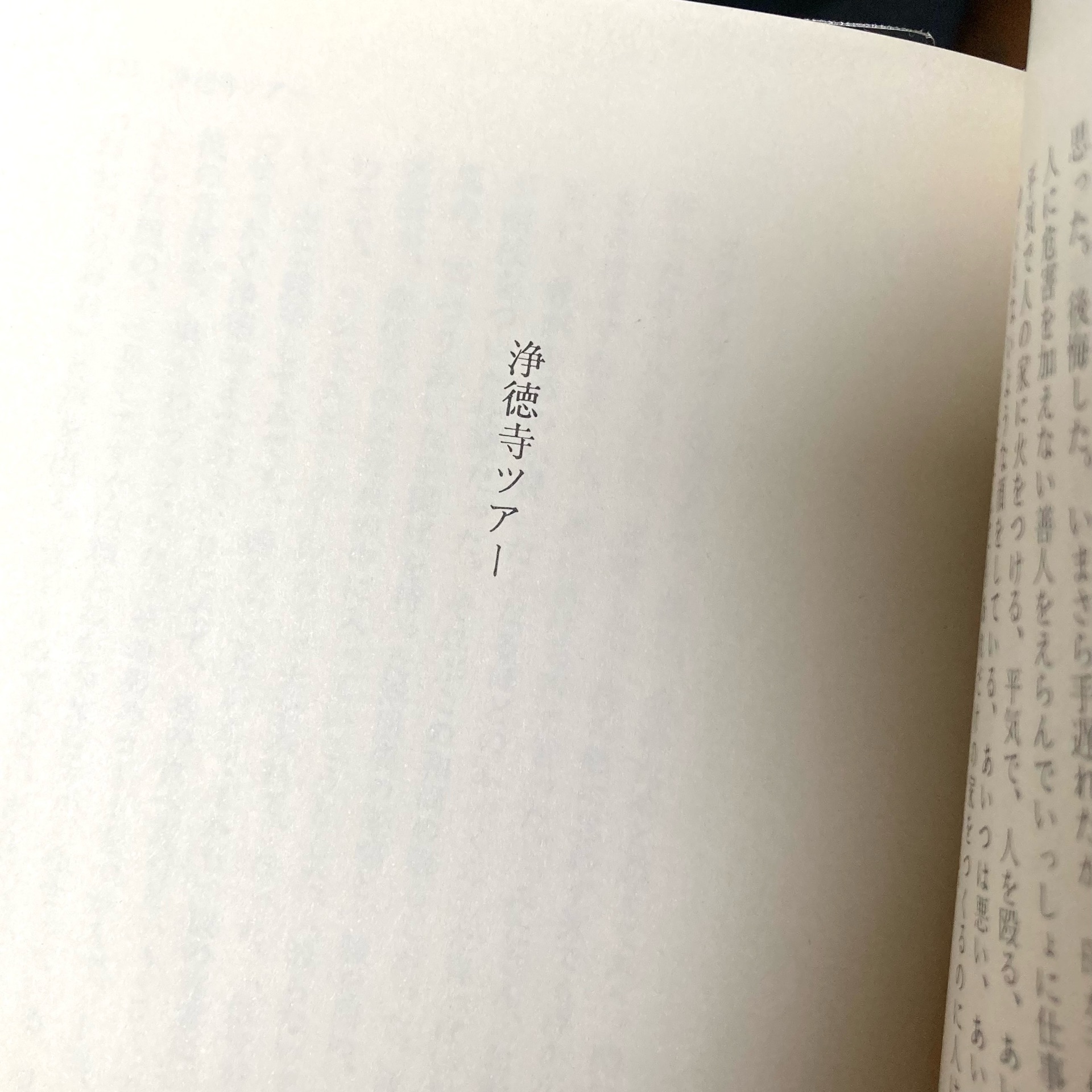 岬