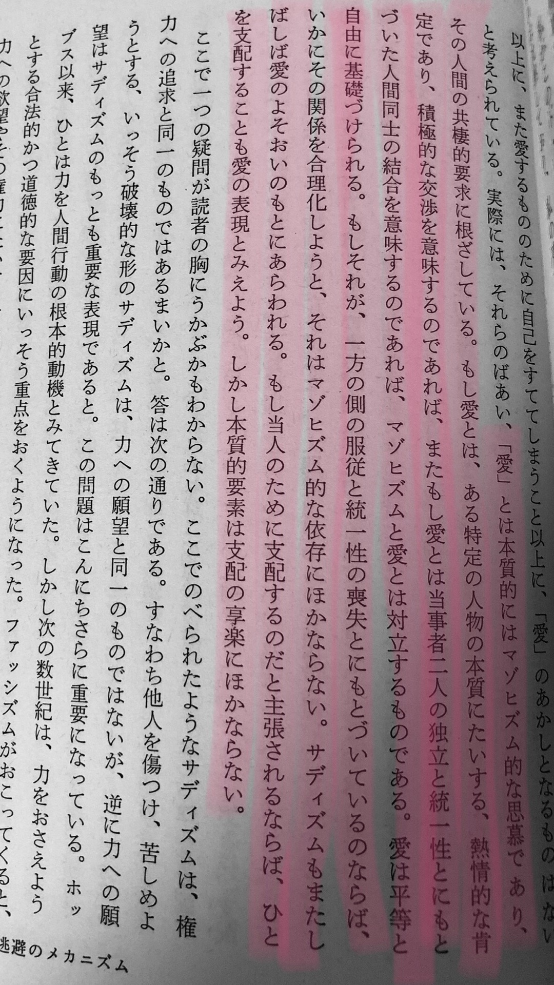 自由からの逃走